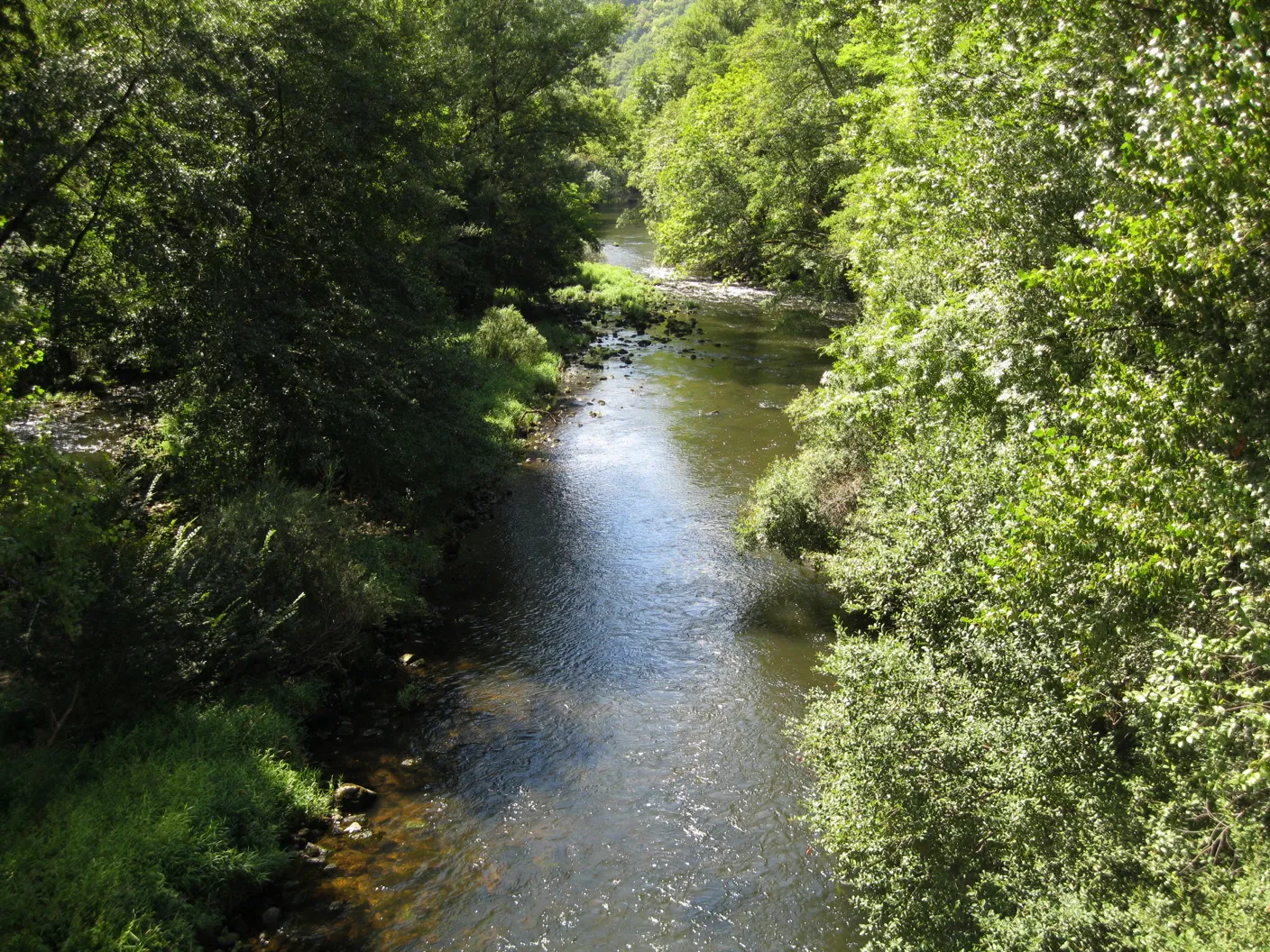 Photo showing: Upstream view of the Cère river from the bridge of road D31 in Laval-de-Cère, altitude 171 meters.