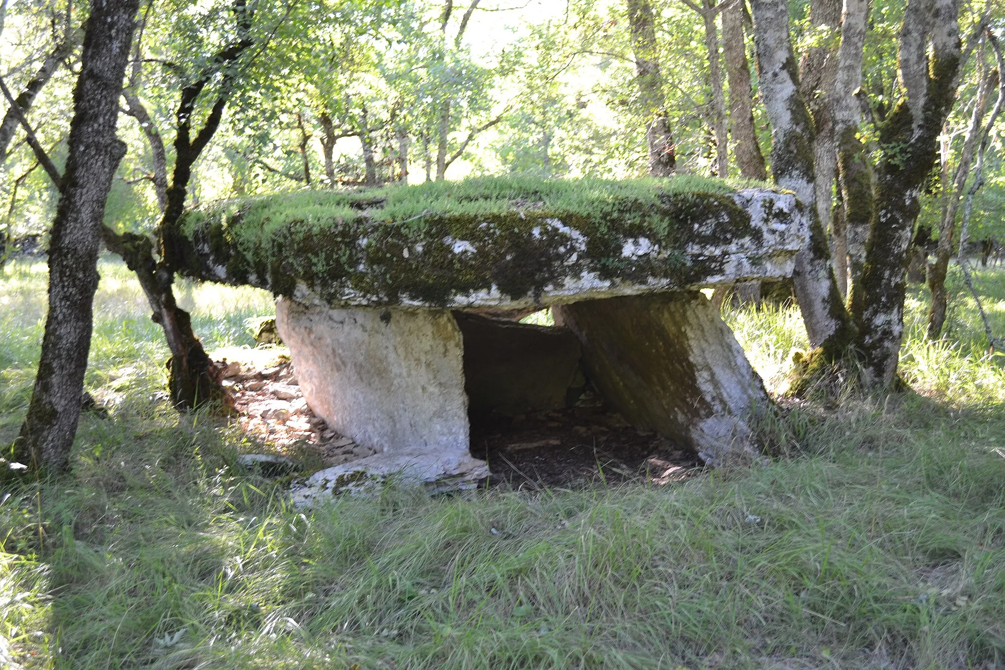 Photo showing: Issendolus, dolmen du Gabaudet n°1 (arrière)