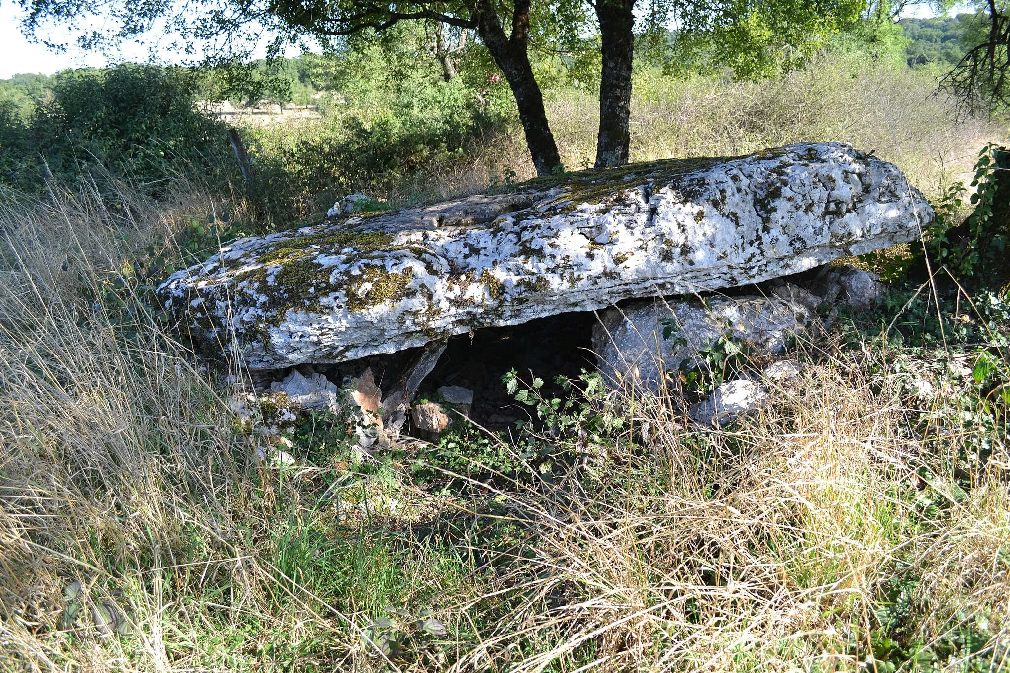 Photo showing: Dolmen de la Baune, Issendolus, Lot