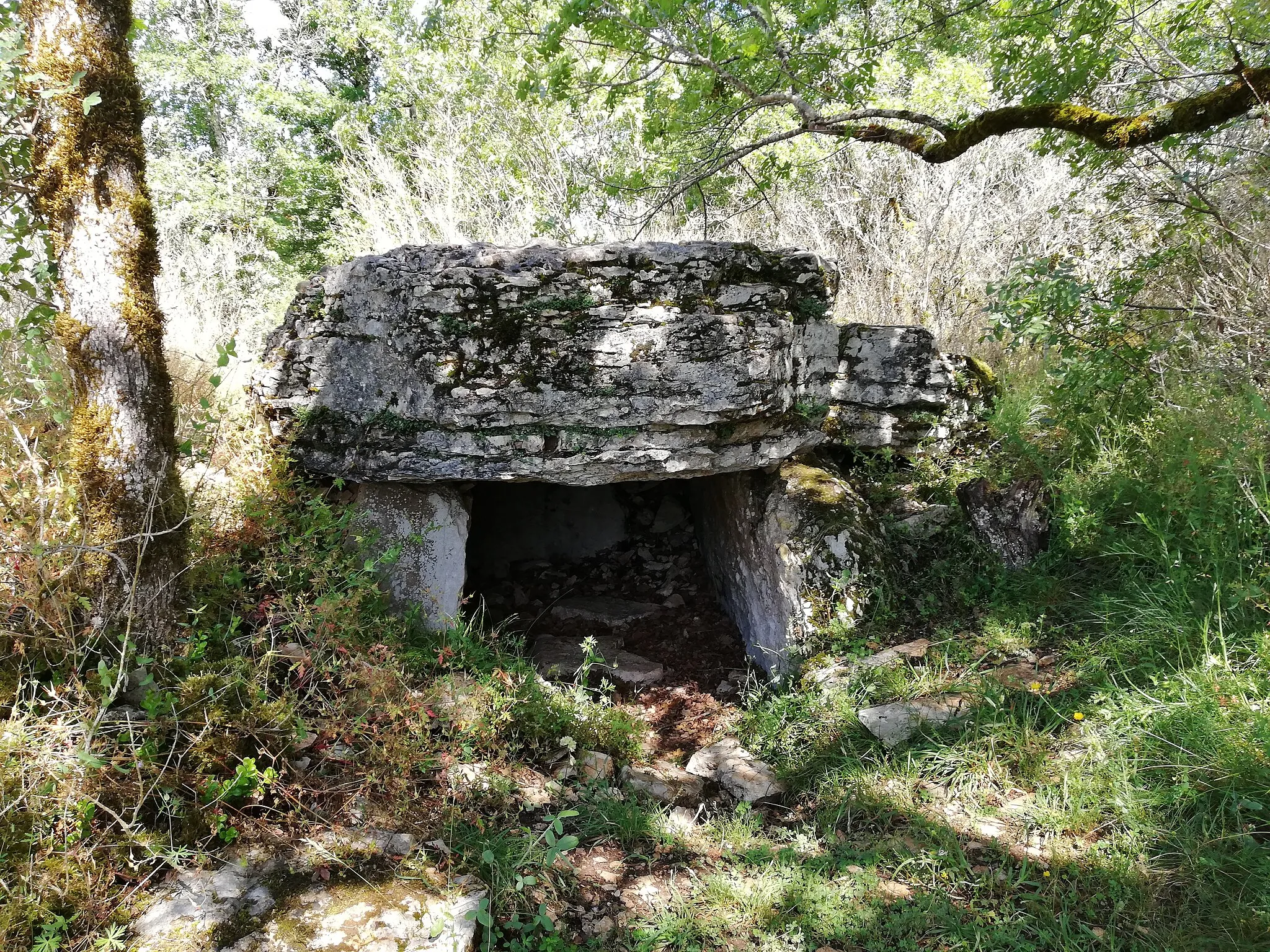 Photo showing: Vue de face du Dolmen du Mas de Galdot en 2019