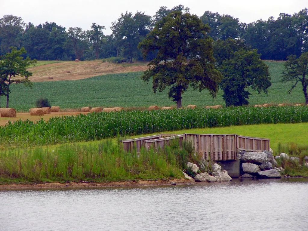 Photo showing: Petit pont sur le lac de Gabas