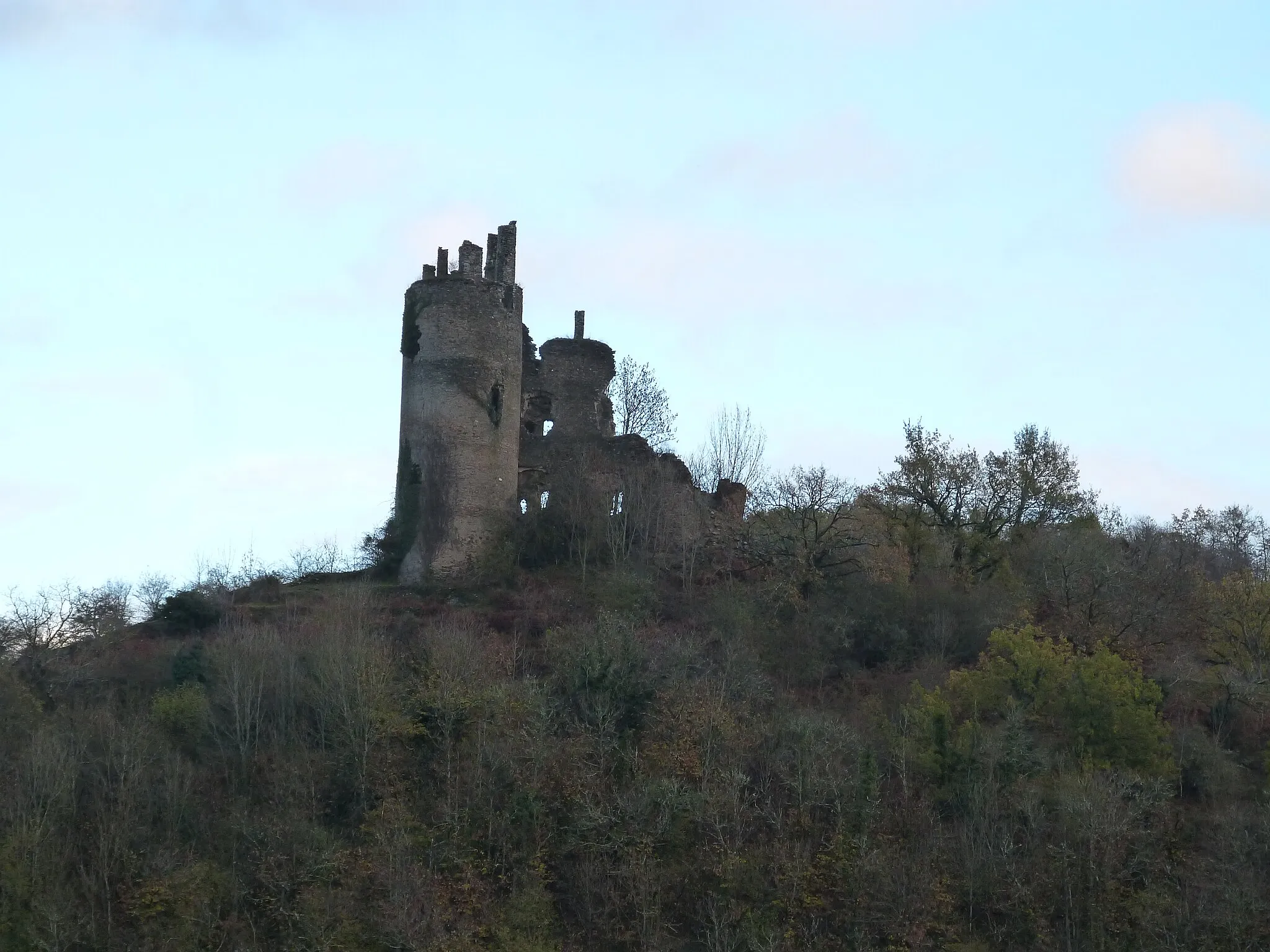 Photo showing: Le château de Roumégous vu depuis la chapelle de Murat (La Salvetat-Peyralès, Aveyron)
