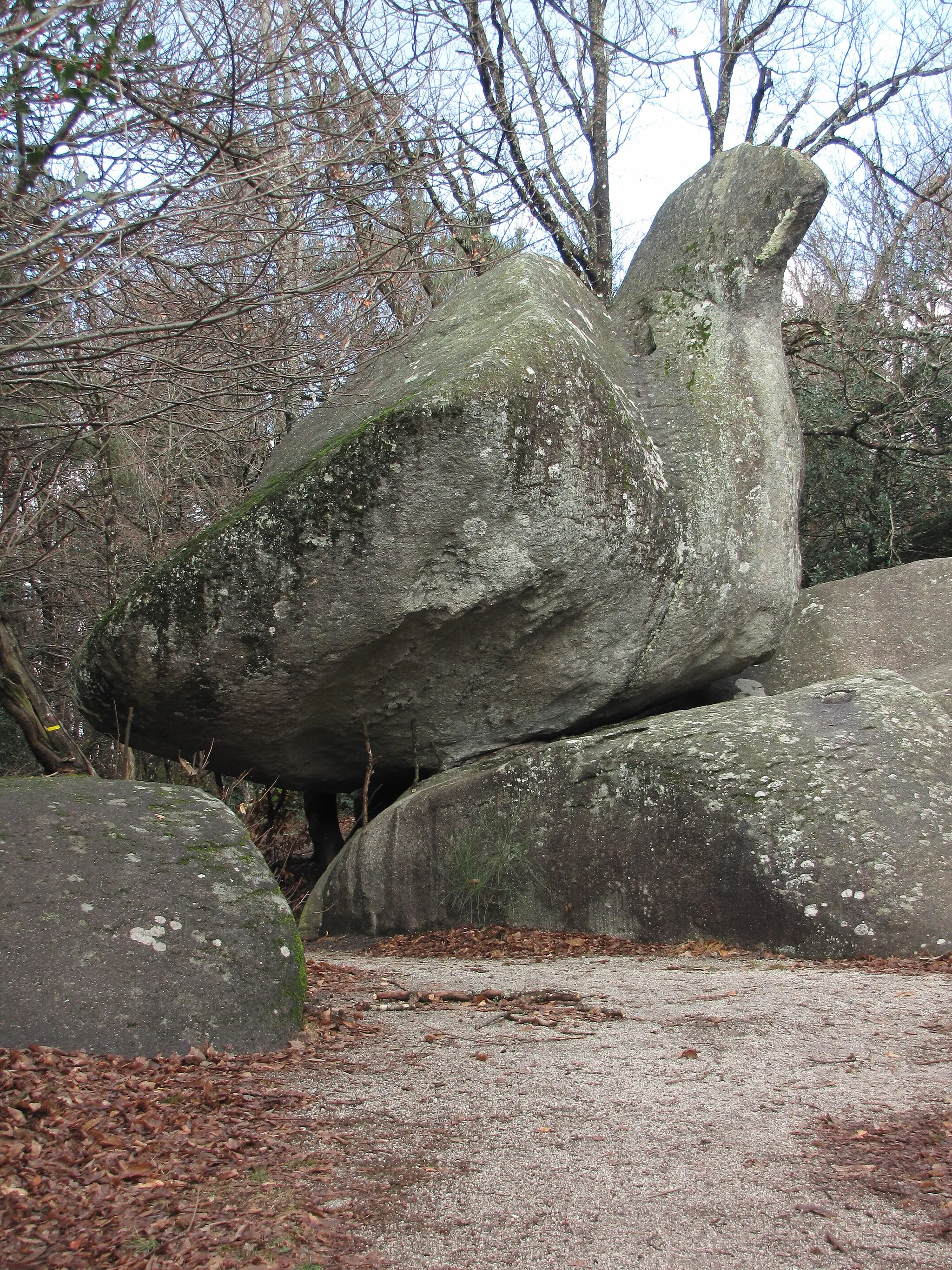 Photo showing: « Roc de l'Oie »