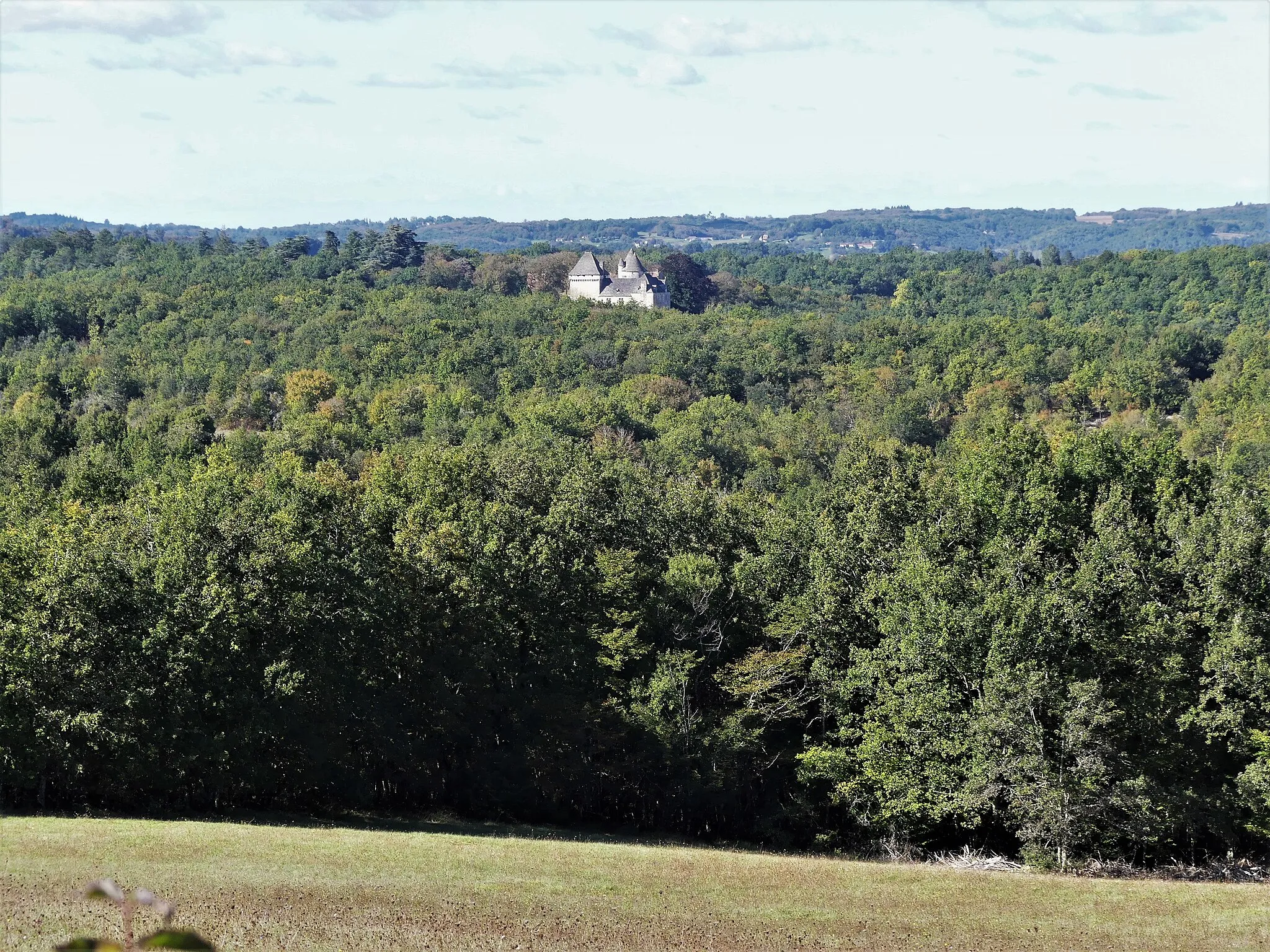 Photo showing: Vue prise depuis la route départementale 47, au sud-est d'Eyvigues, vers le château du Claud au nord-ouest, Salignac-Eyvigues, Dordogne, France.
