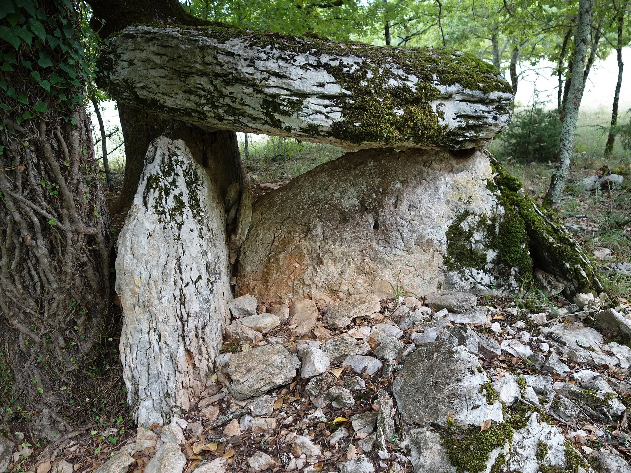 Photo showing: Un beau dolmen assez peu connu...