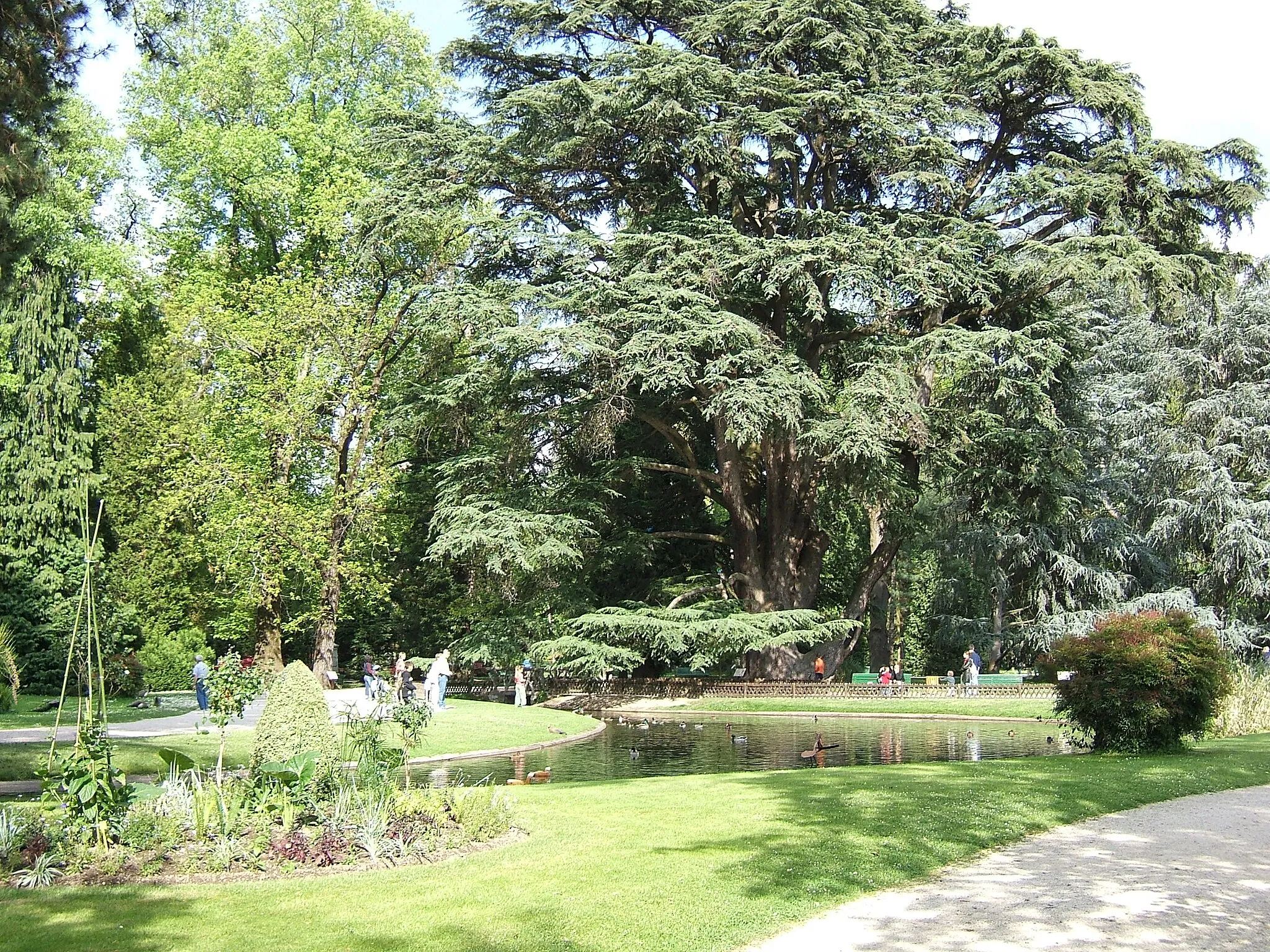 Photo showing: Jardin Massey