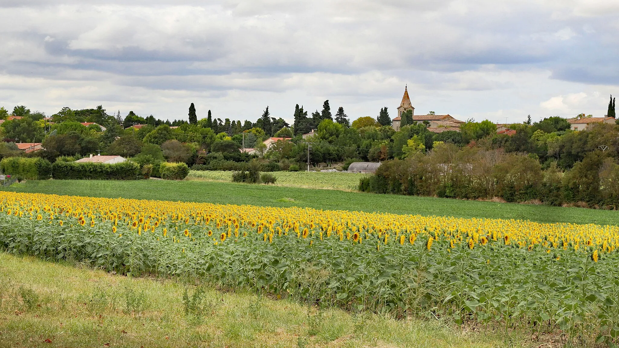 Photo showing: Vue générale du sud