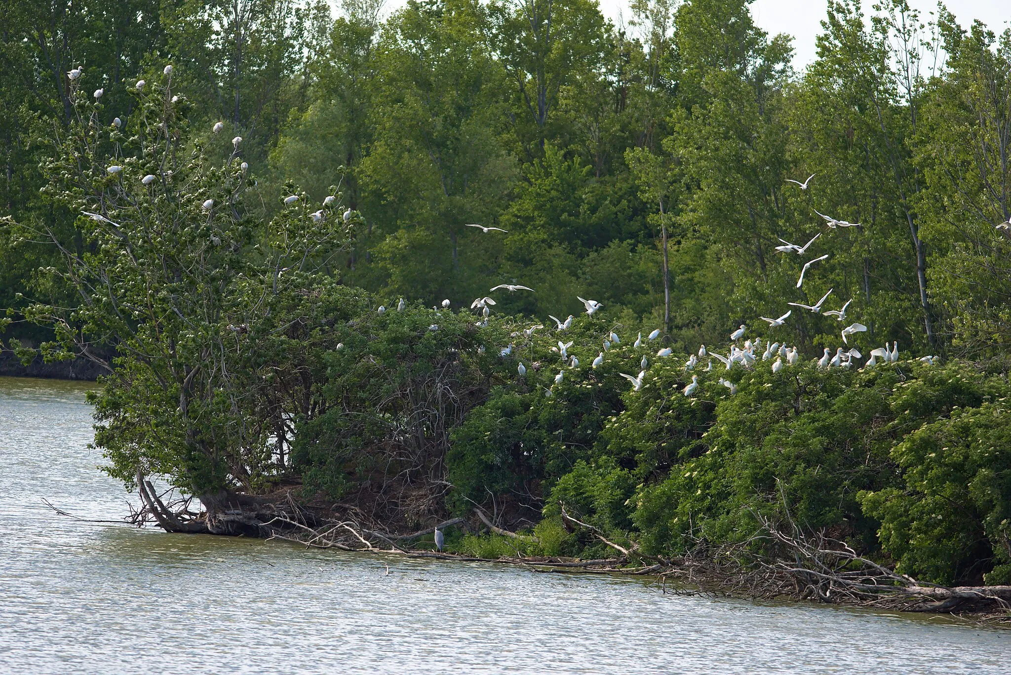 Photo showing: Regional protected area of Cambounet-sur-le-Sor, Tarn, France.