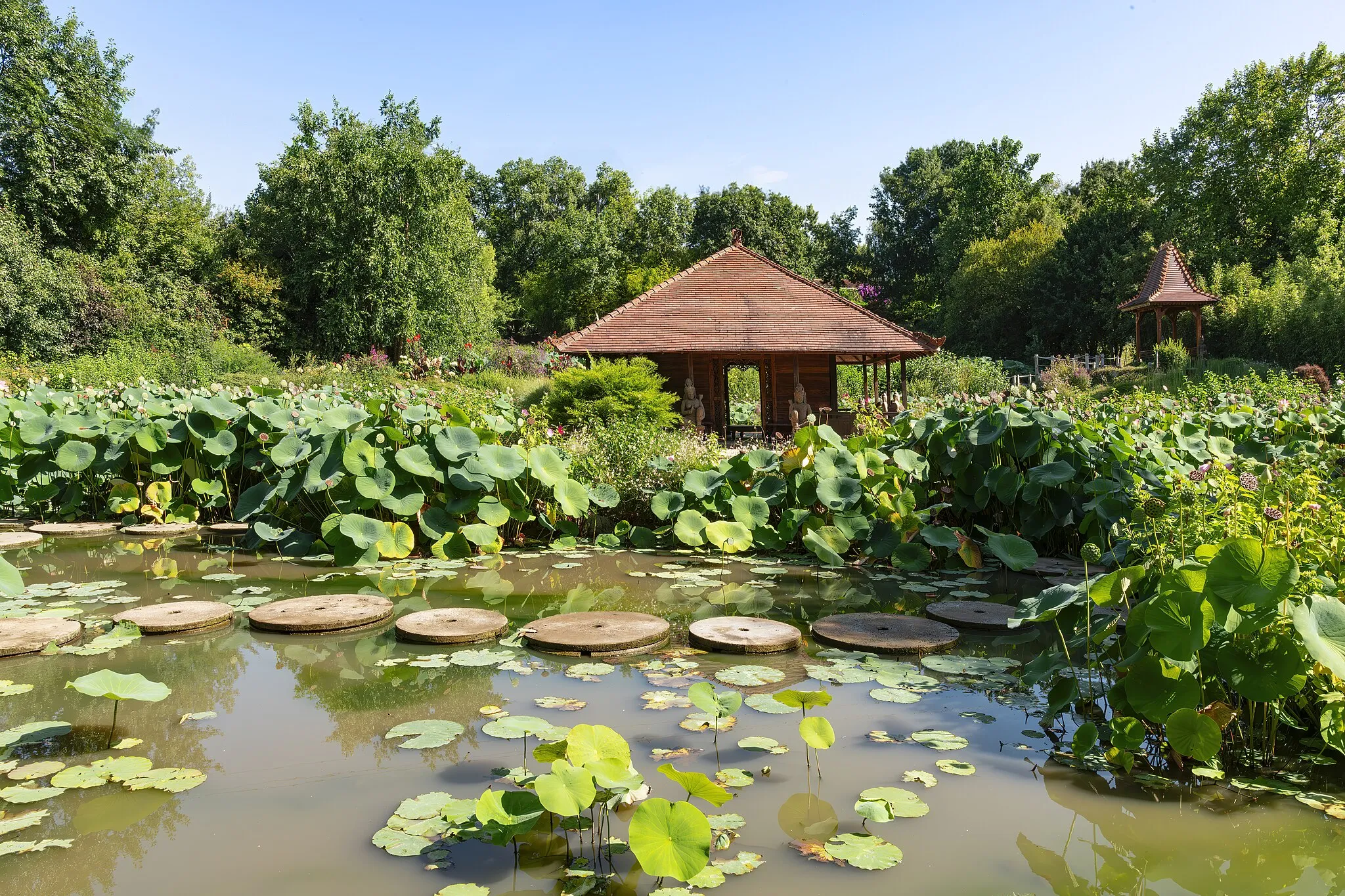 Photo showing: Lotus Temple at the Martels Gardens, Giroussens, France