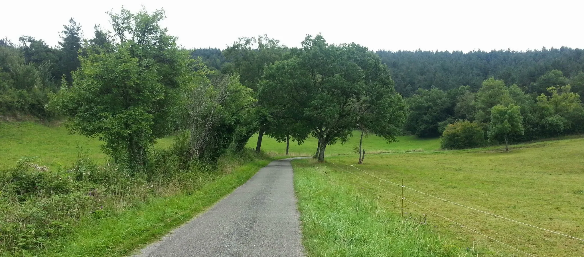 Photo showing: Une petite route bien champêtre en fond de vallée, vers Vaour.