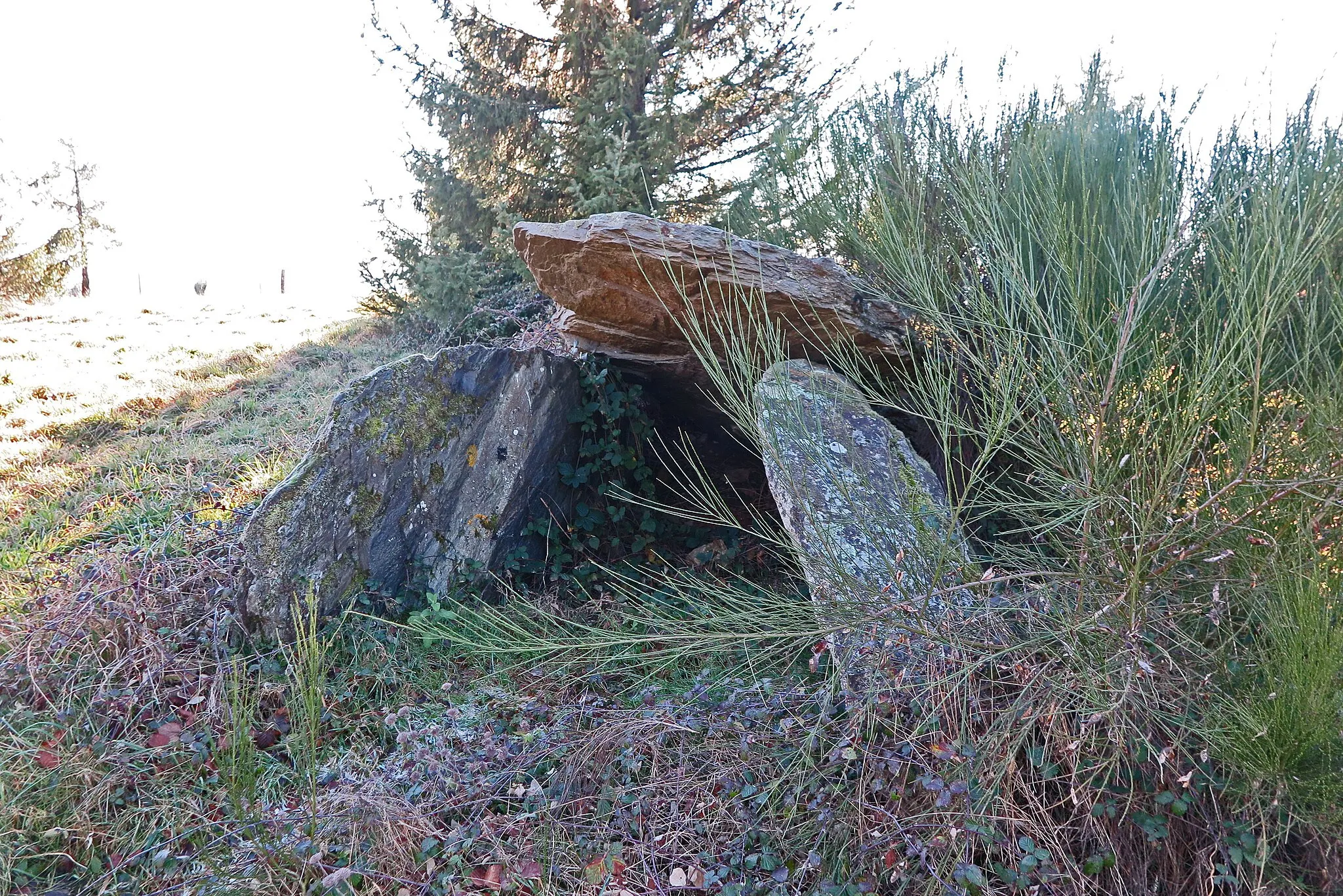 Photo showing: Beau monument en schiste à la table inclinée.