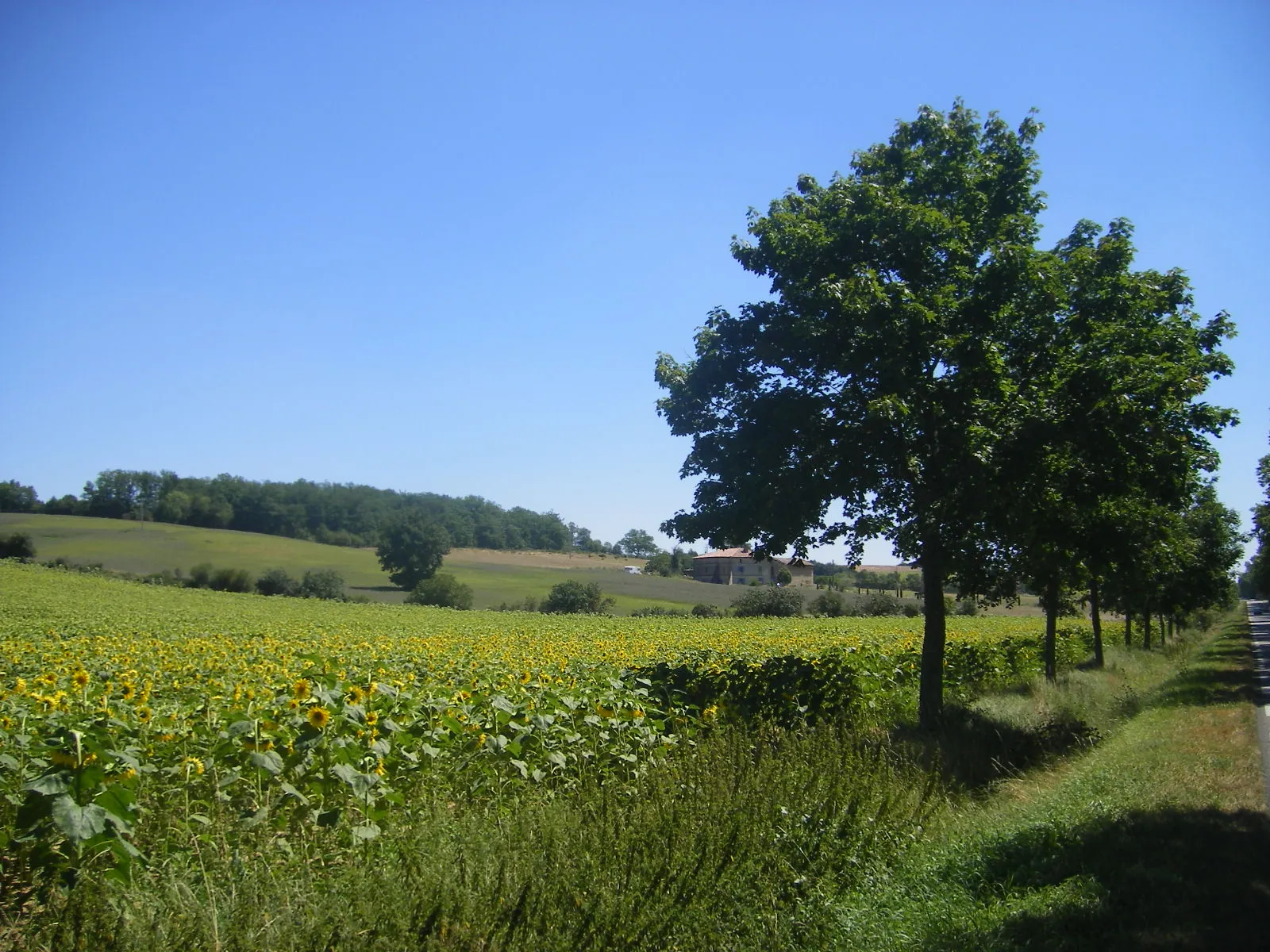 Photo showing: Landscape near Salvagnac (Tarn, France).