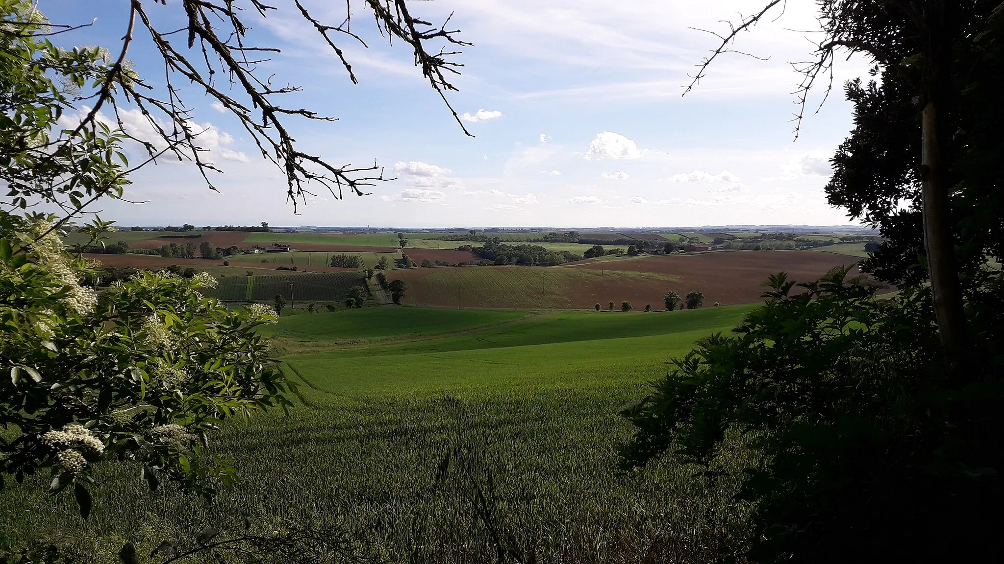 Photo showing: Vue panoramique