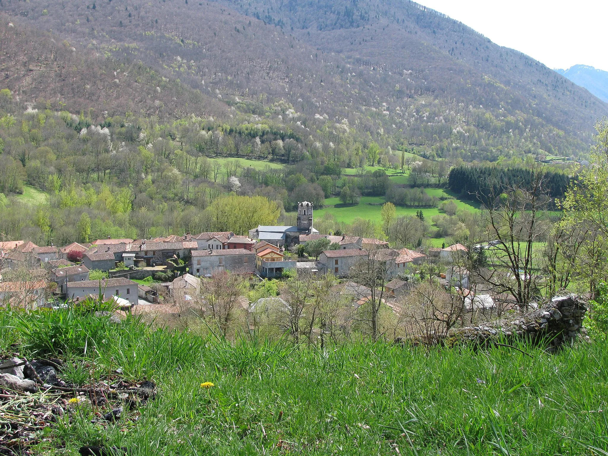 Photo showing: Vue générale du village de Saint-Pé d'Ardet