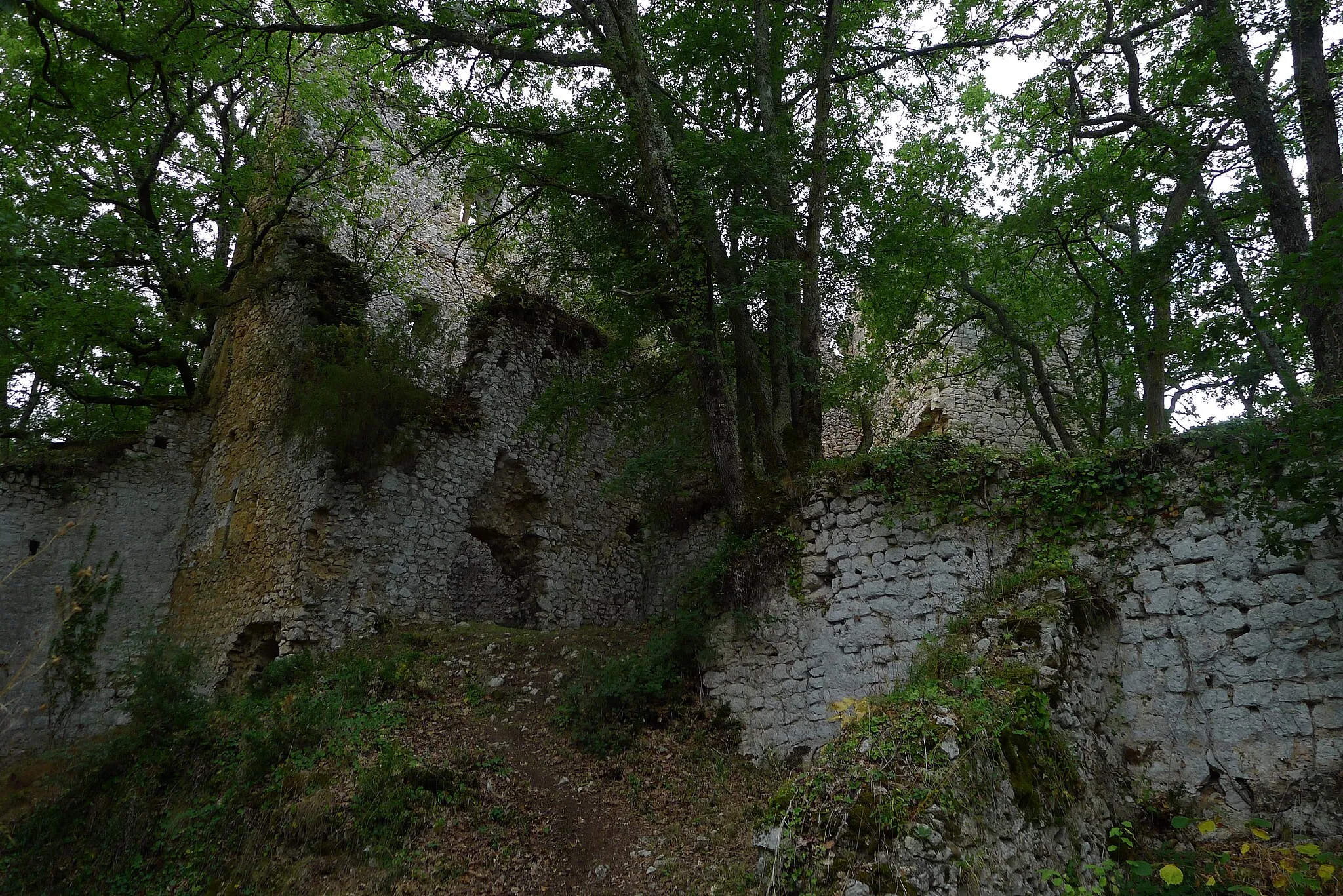 Photo showing: Vue d'ensemble des ruines du château médiéval de Lespugue