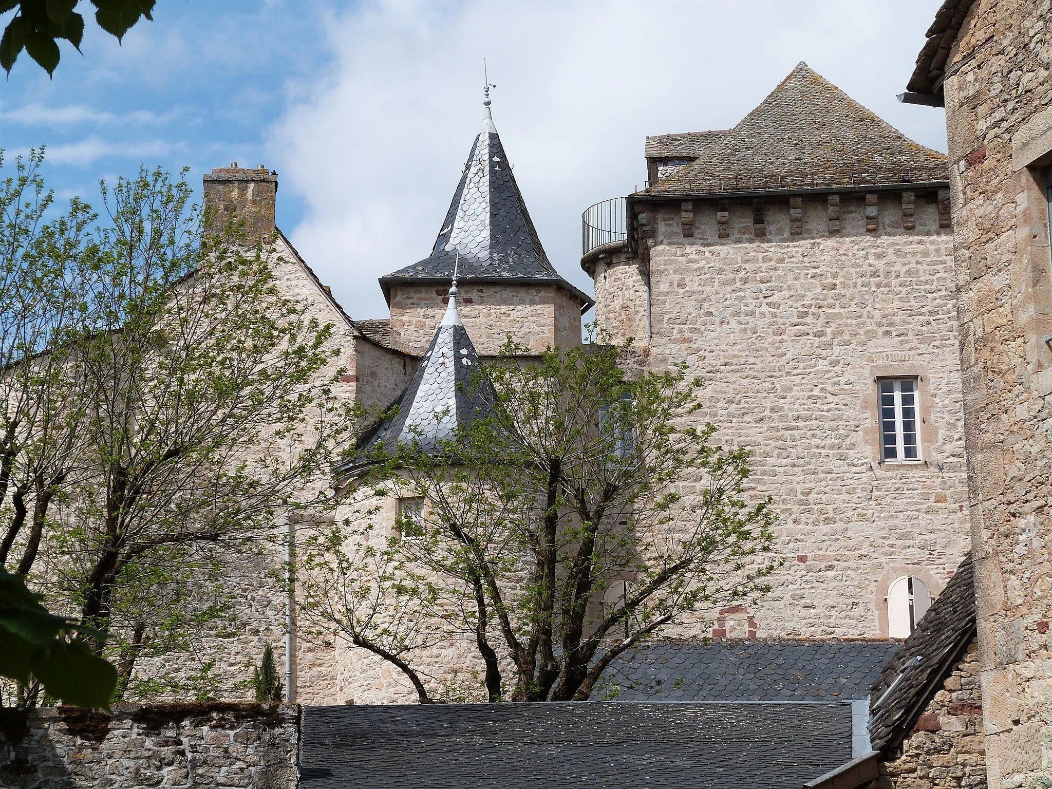 Photo showing: Château de Balsac