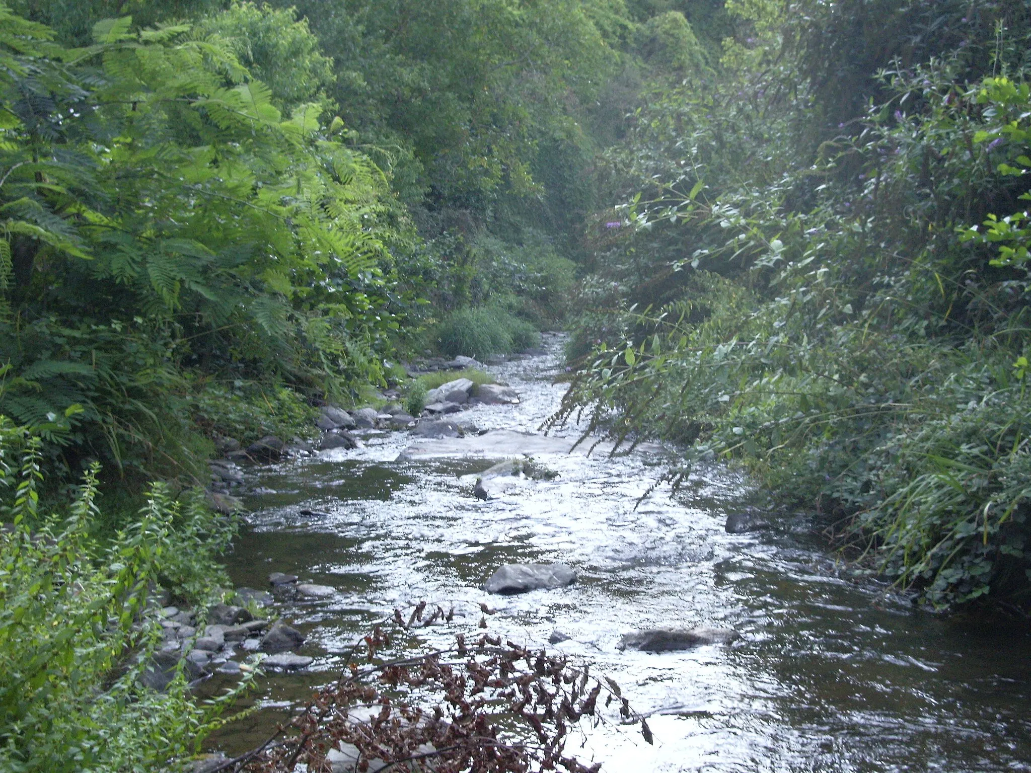 Photo showing: Alrance River in Brousse-le-Château