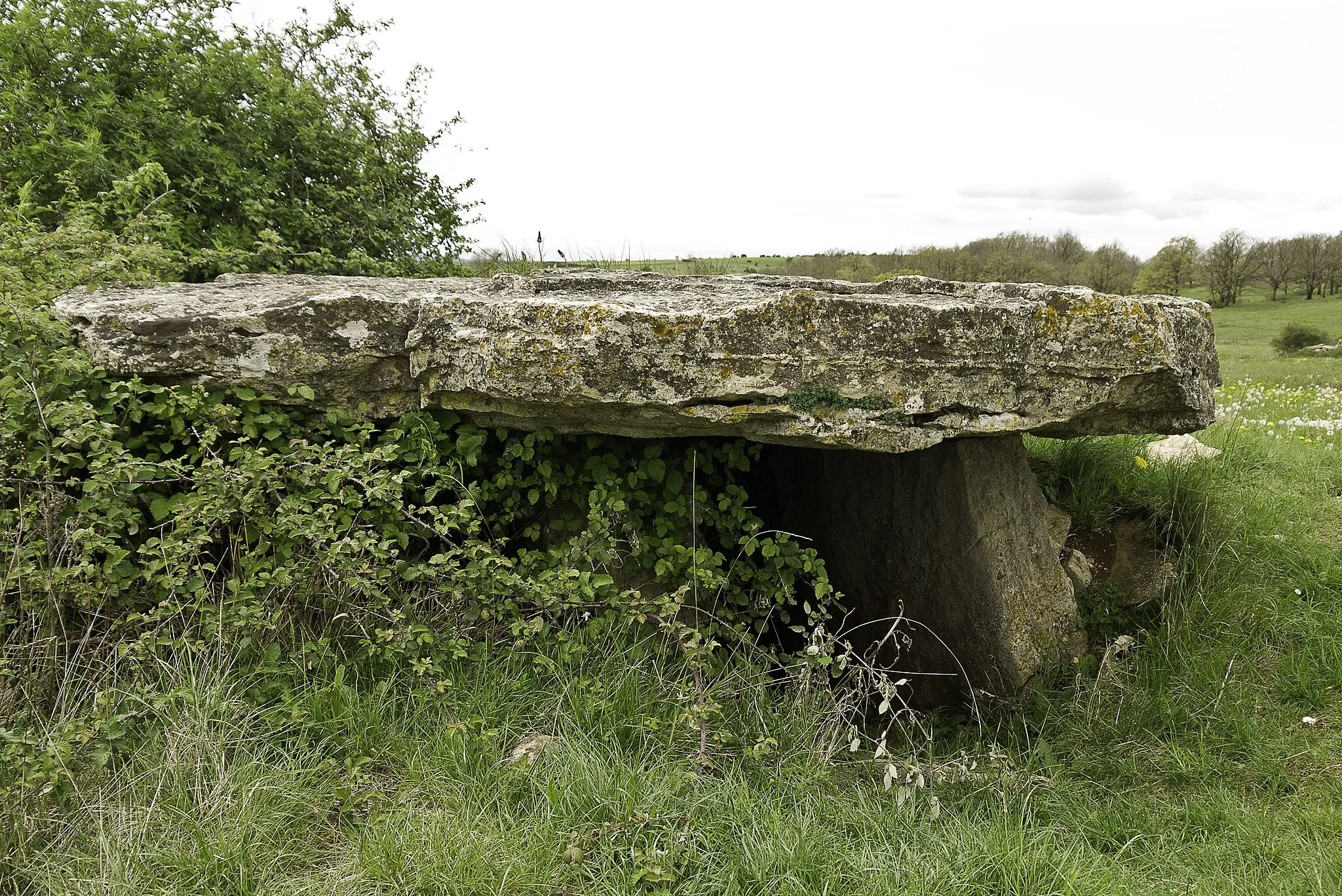 Photo showing: Dolmen de Saplous (Buzeins, Aveyron, France)