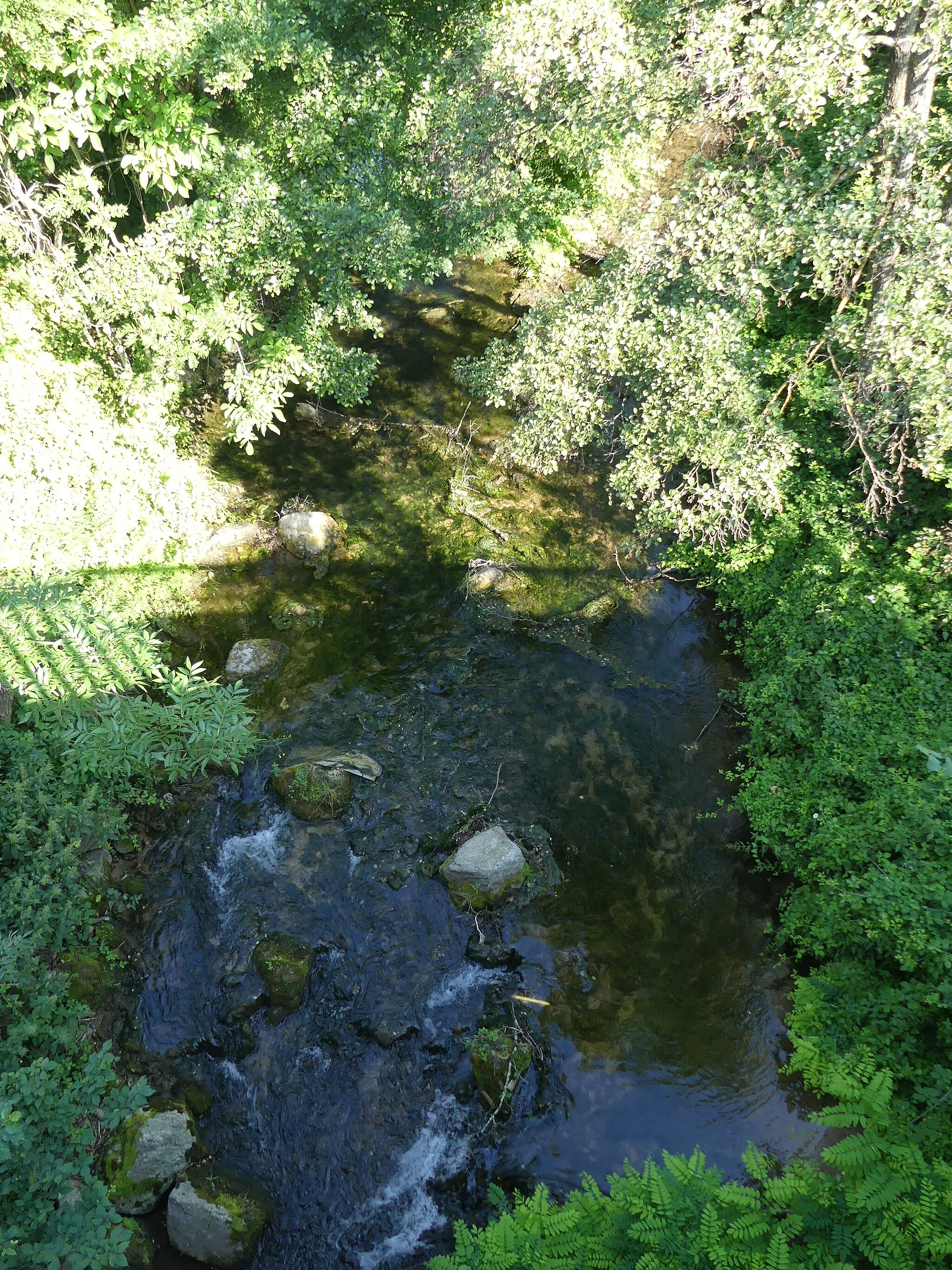 Photo showing: Le Lumansonesque au pont de la route départementale 907, en limite d'Aguessac (à gauche) et de Compeyre (sur l'autre rive), Aveyron, France. Vue prise en direction de l'amont.