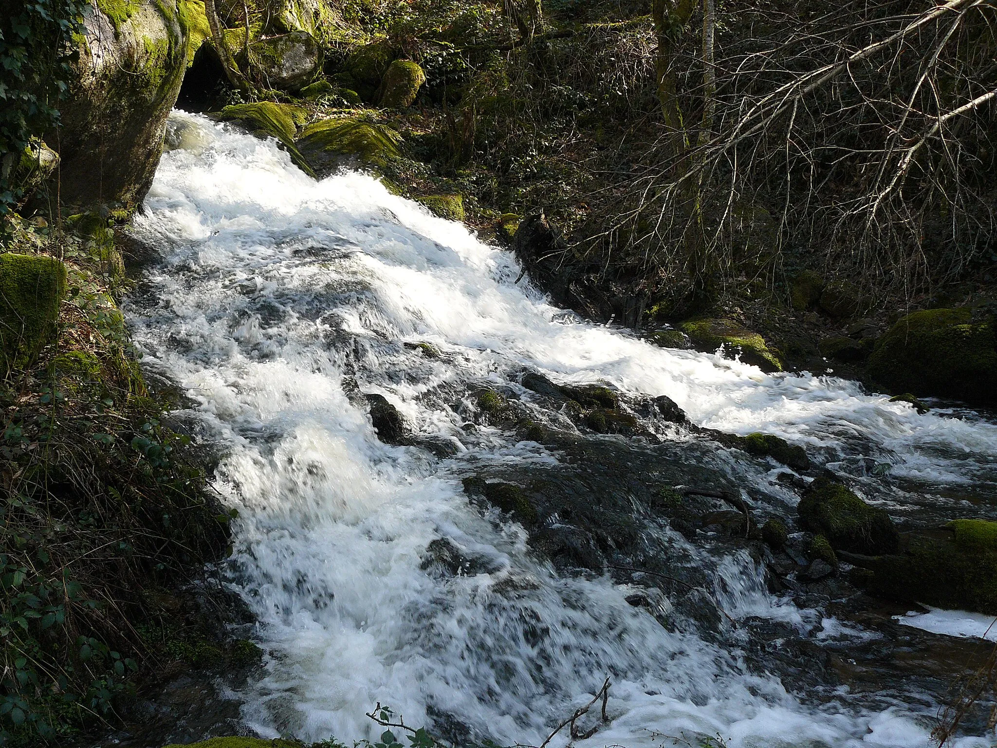 Photo showing: Ruisseau de la Daze des Vergnettes avant le lieu-dit Falguère; Photo prise en Aveyron sur la commune d'Espeyrac