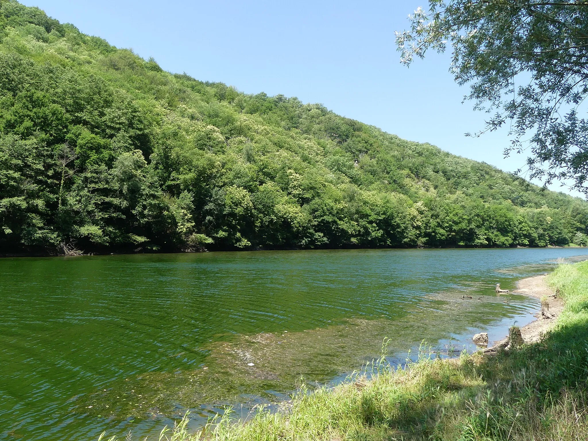 Photo showing: Le Lot dans la retenue du barrage de Golinhac, en limites d'Estaing (au premier plan) et de Sébrazac (sur l'autre rive), Aveyron, France. Vue prise en direction de l'aval.