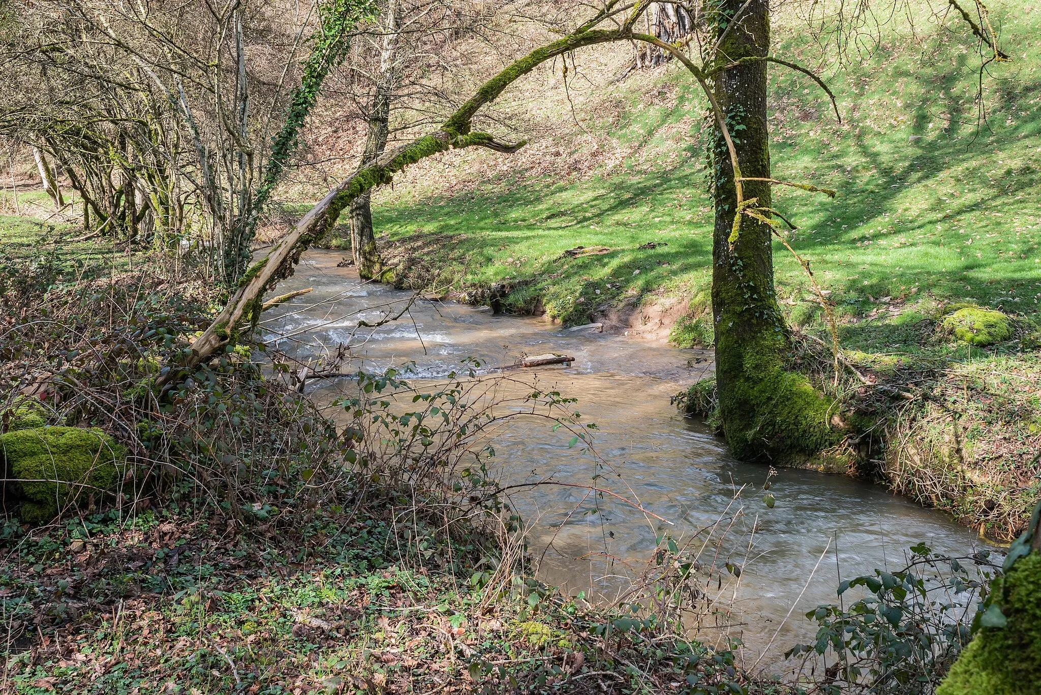 Photo showing: Ruisseau de Vayre near the placed named Verdun, commune of Quins, Aveyron, France