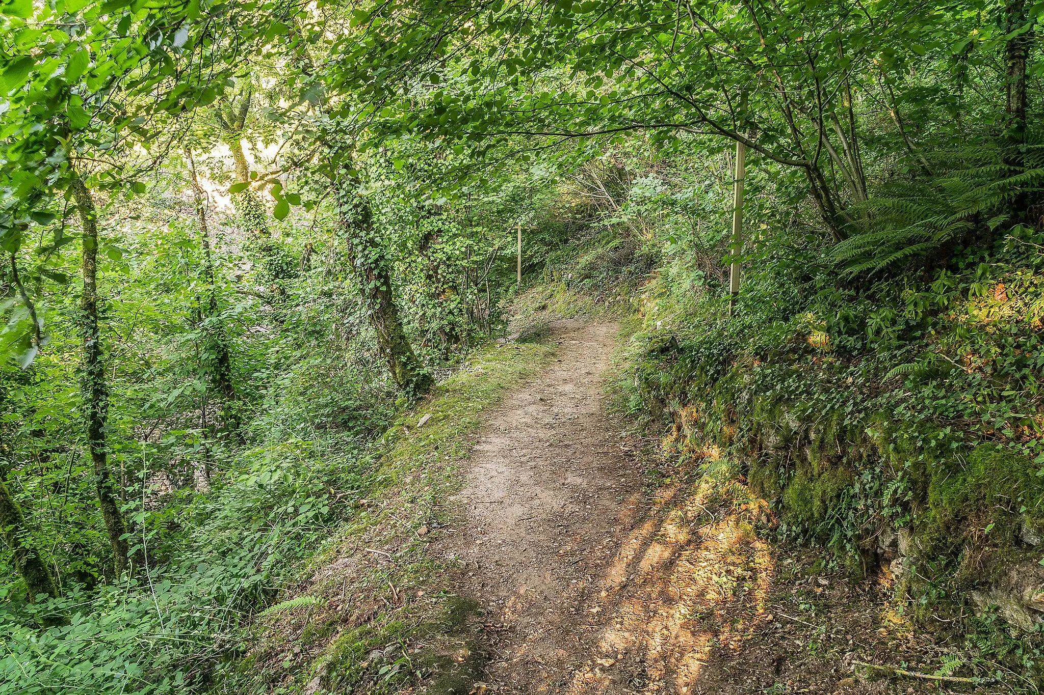 Photo showing: Footpath in Peyrusse-le-Roc, Aveyron, France