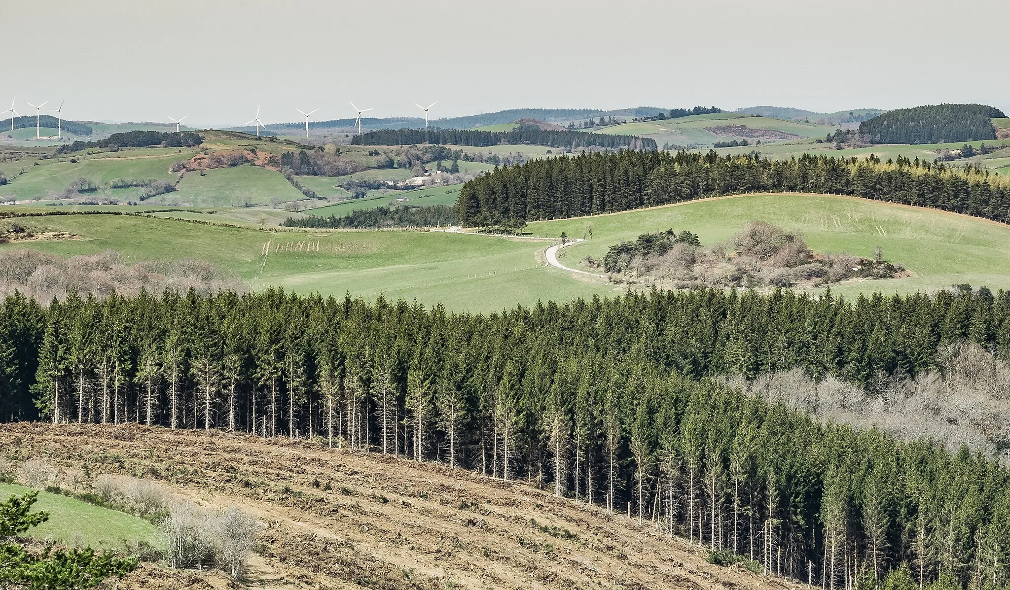 Photo showing: Landscape in commune of Vézins-de-Lévézou, Aveyron, France