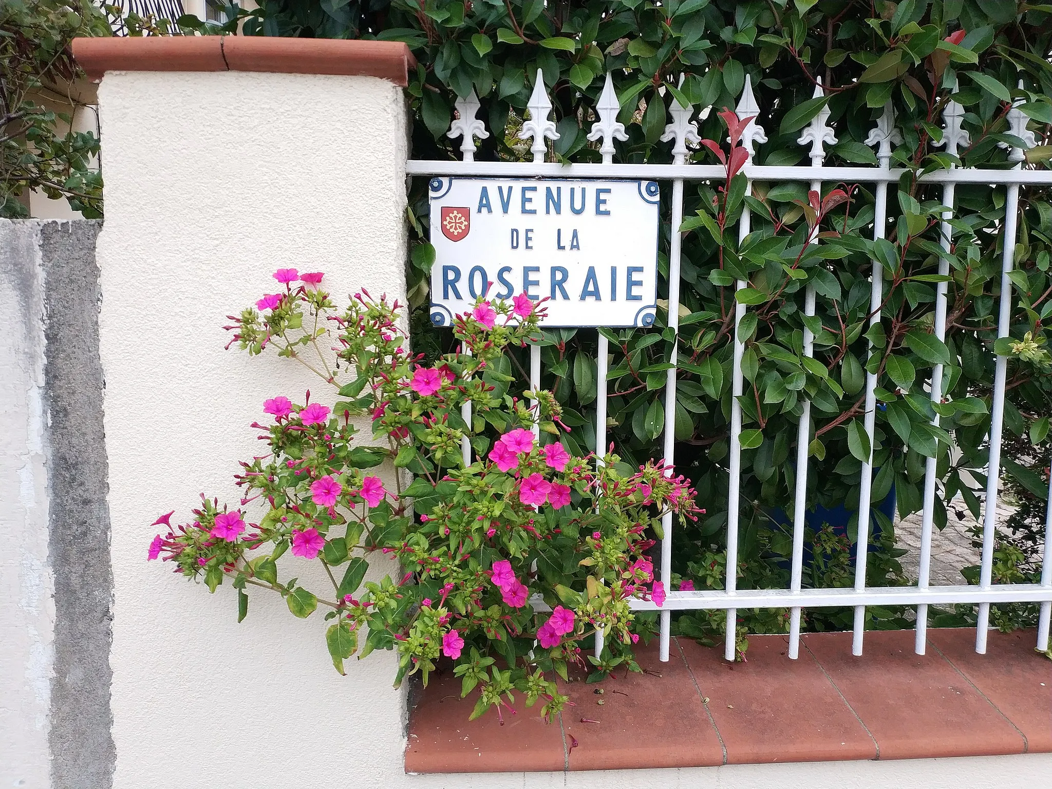 Photo showing: Plaque de rue sur l'Avenue de la Roseraie à Toulouse. Quartier bucolique.