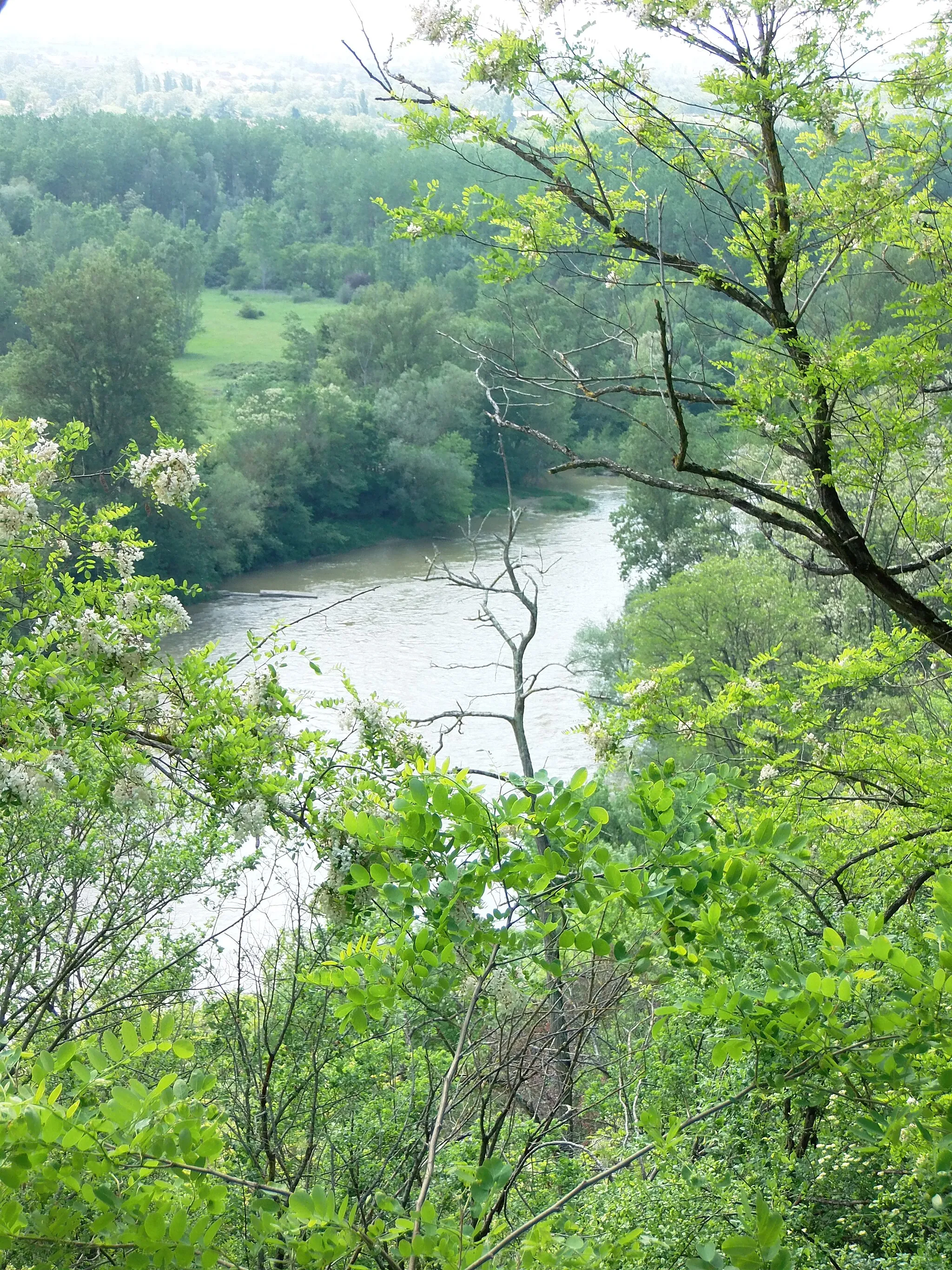 Photo showing: Vue sur la vallée de l'Ariège (rivière) à Clermont-le-Fort, zone située dans la réserve naturelle régionale Confluence Garonne-Ariège (RNR288) en Haute-Garonne (France).