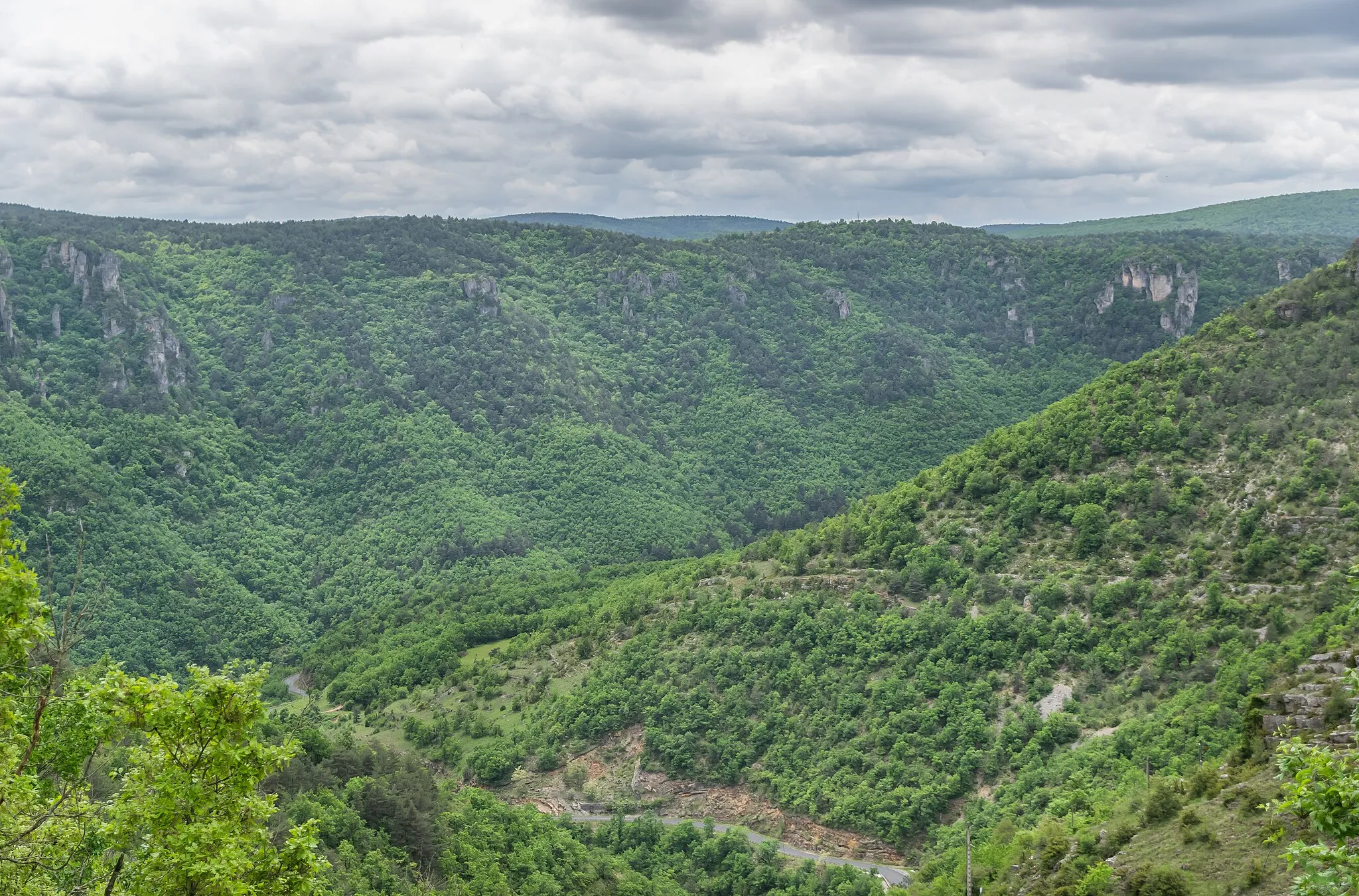 Photo showing: Gorges de la Dourbie in commune of La Roque-Sainte-Marguerite, Aveyron, France