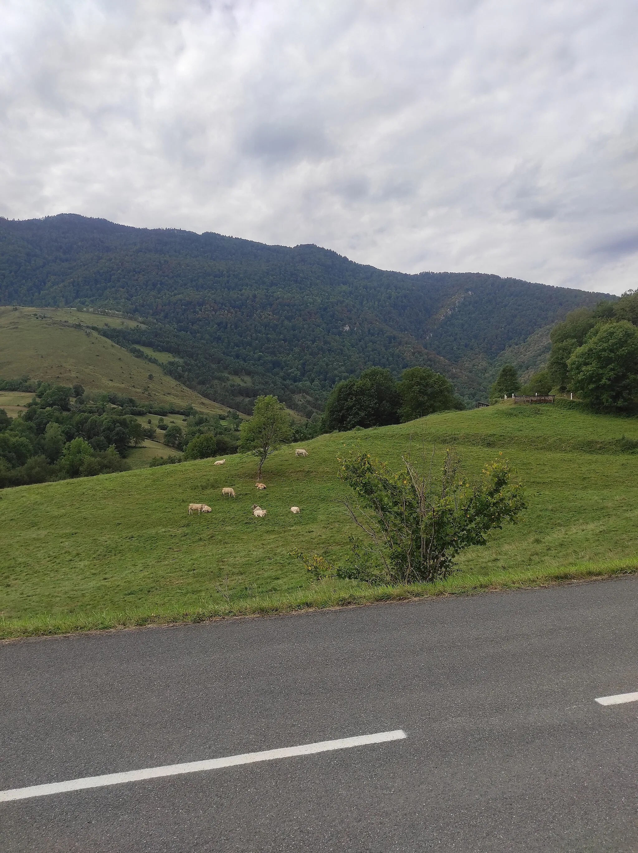 Photo showing: Vue depuis la route du col des Ares