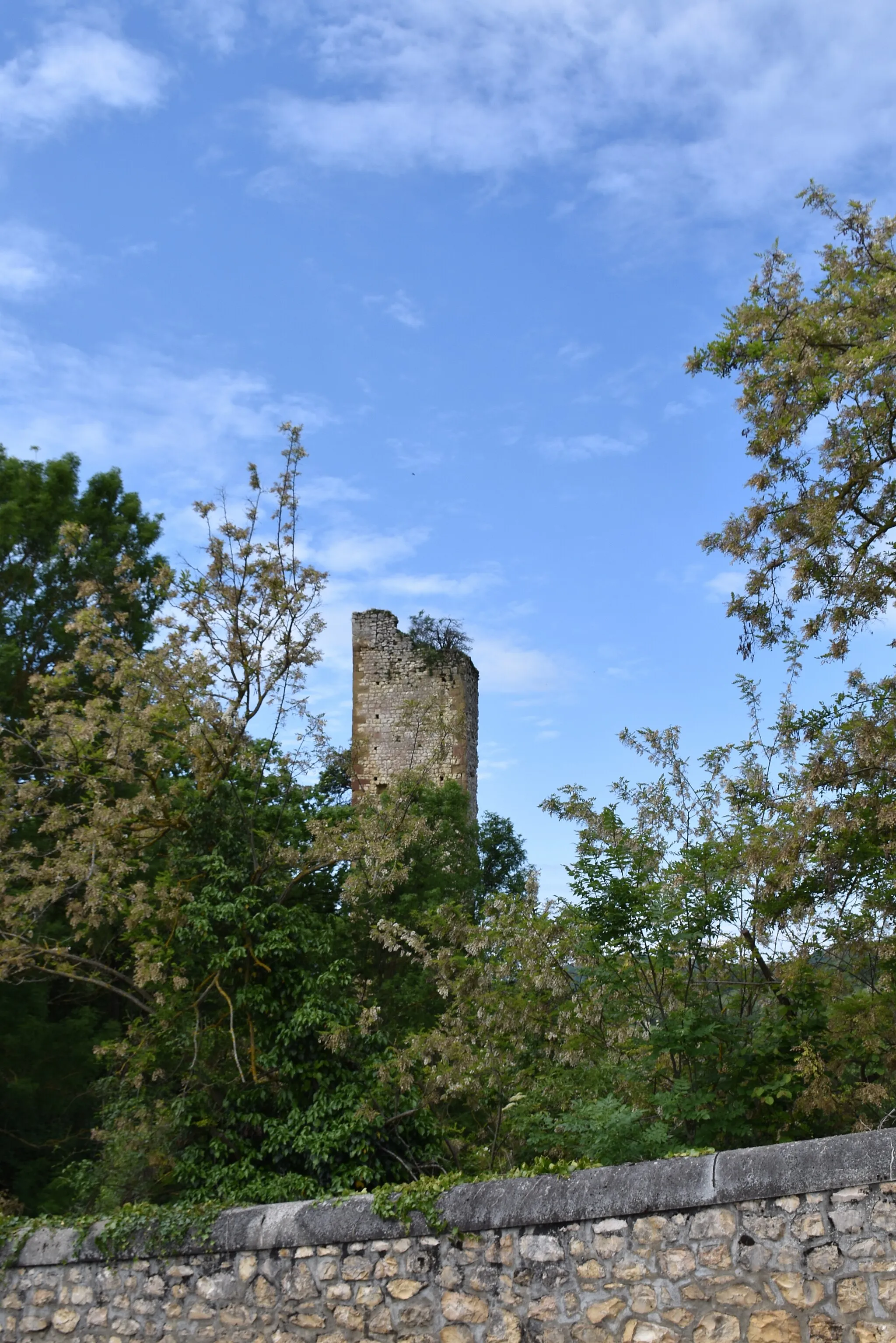 Photo showing: La tour du château