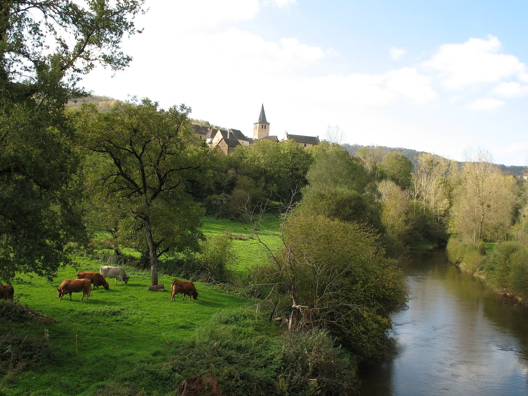 Photo showing: Vue générale Prévinquières (Aveyron)