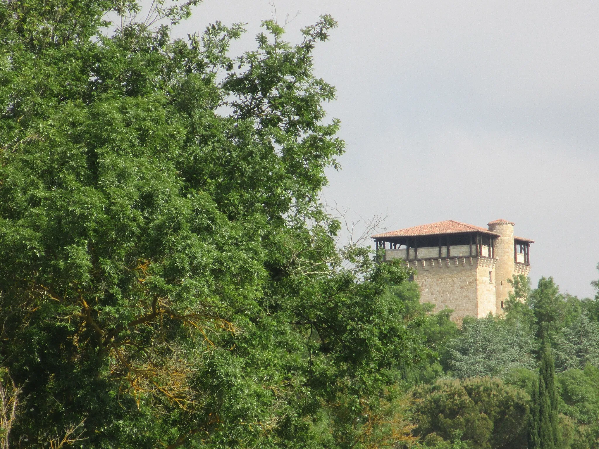 Photo showing: Donjon du château de Bellegarde à Roquefort (32).