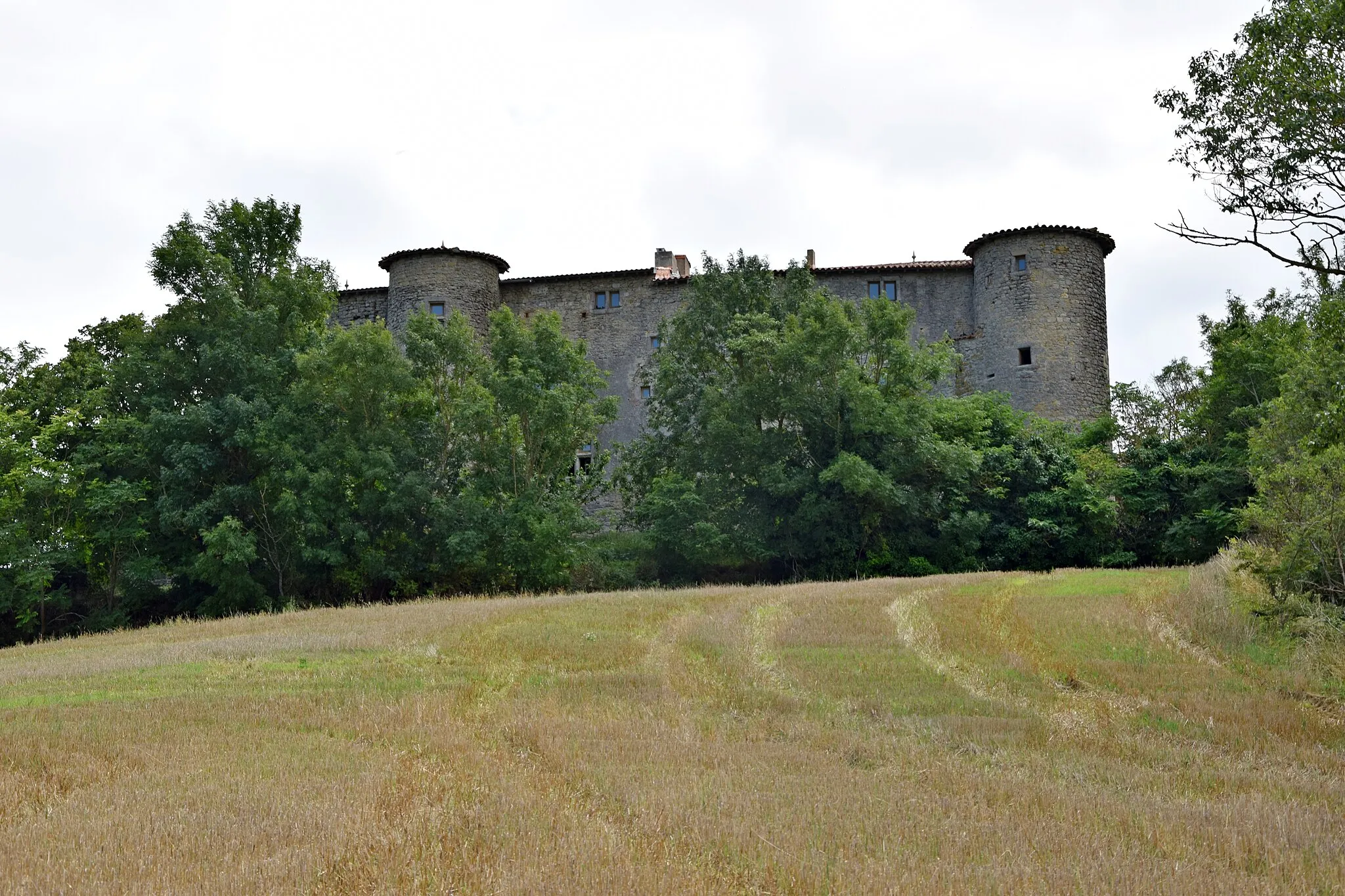 Photo showing: This building is indexed in the base Mérimée, a database of architectural heritage maintained by the French Ministry of Culture, under the reference PA00102770 .