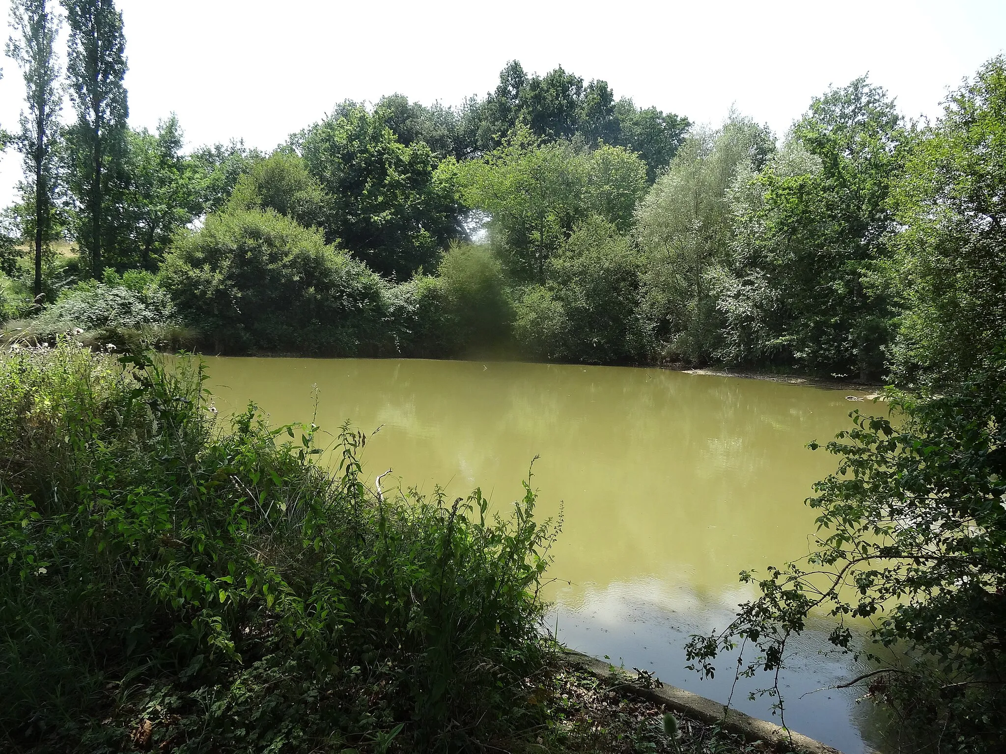 Photo showing: Mare située en bordure de route au nord du village de Belloc-Saint-Clamens.