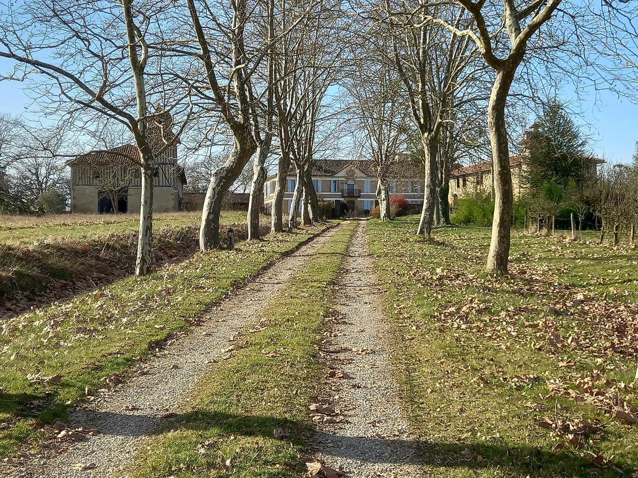 Photo showing: L'allée du château de Salleneuve situé sur la commune de Mont-d'Astarac en février 2022.