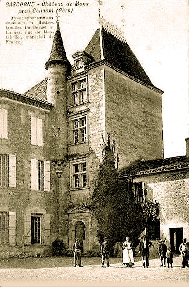 Photo showing: Château de Mons (Gers),  conservatoire des cépages du patrimoine biologique régional Midi-Pyrénées