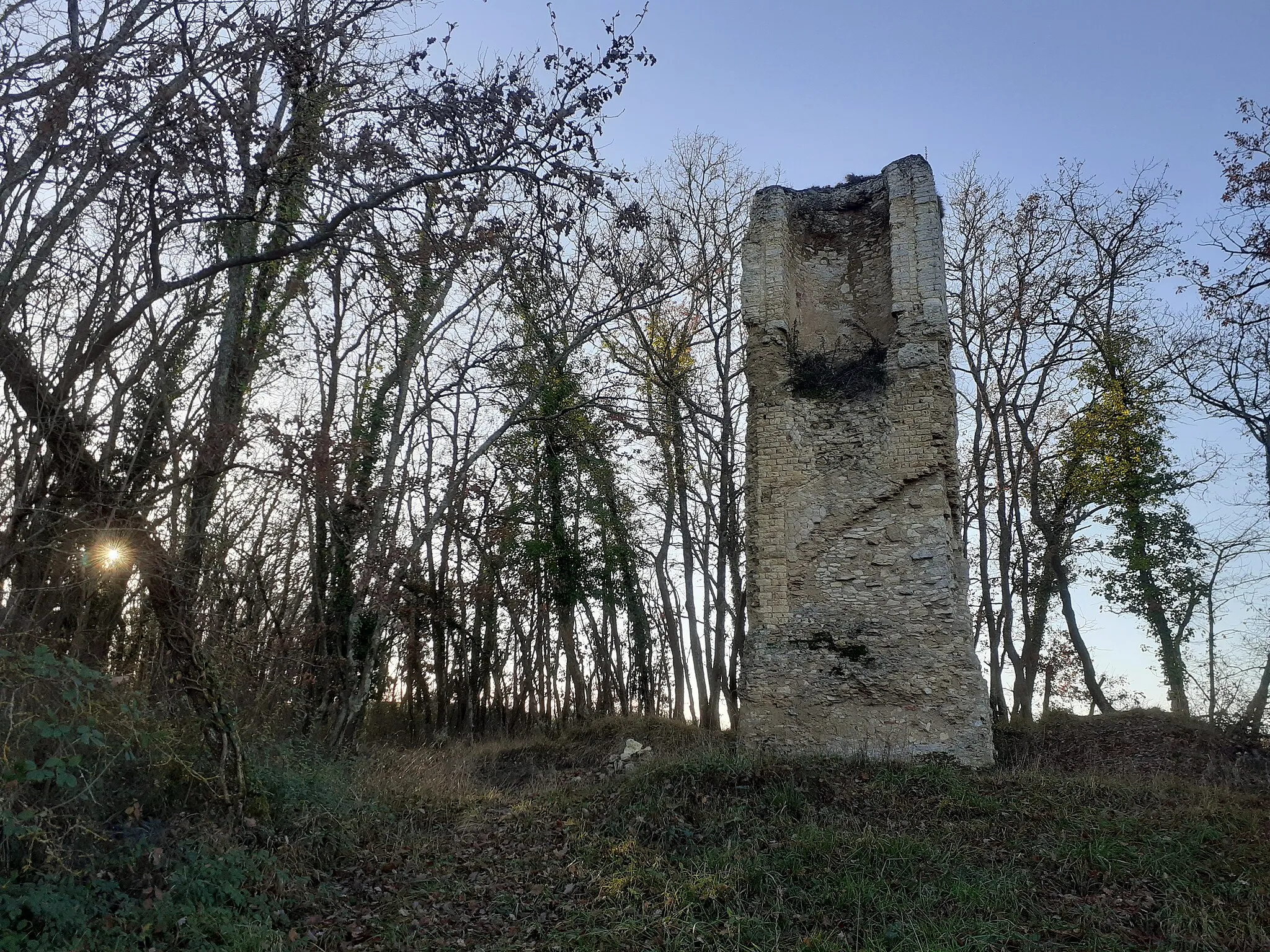 Photo showing: The Gallo-Roman pile of Saint-Lary, canton of Jegun, Gers, is located on a hill, facing the village. Property of the State, it is the most interesting in the department, by its niche, although the vault is missing, but especially by its facing in small apparatus of square stones, or in diamonds, or even in hexagons.
We find a good commentary in the Bulletin Monumental volume 63, year 1898, pp 5-68: Article by Philippe Lauzun "General inventory of Gallo-Roman piles in southwestern France and more particularly in the Gers department" which in particular takes up the description made by Adrien Lavergne, vice-president of the Société Historique de Gascogne in Excursion de la Société française d'archéologie dans le département du Gers in 1881, Auch, 1883. Regrettably, the pile deteriorates over time, so the facing is much less present than at that time.

It is listed in the architectural heritage inventory (Mérimée) under the reference PA00094917.