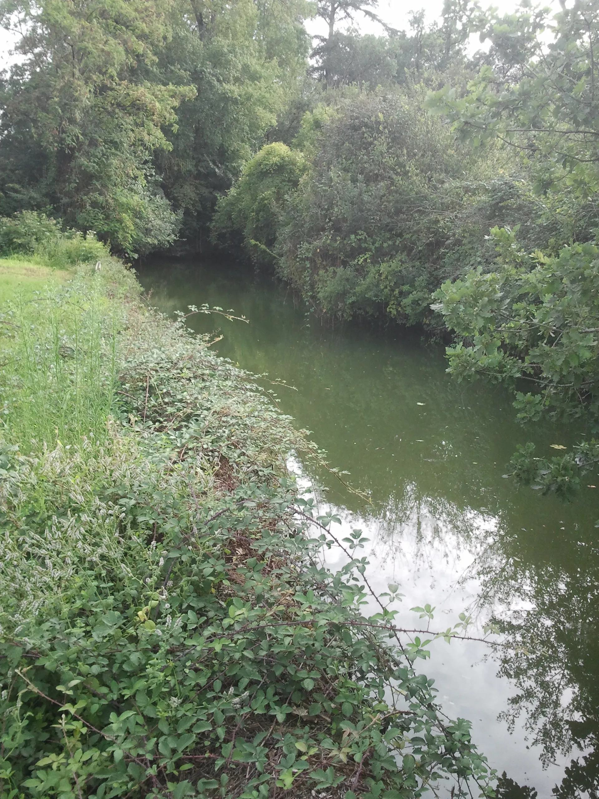 Photo showing: The Gers River in Orbessan