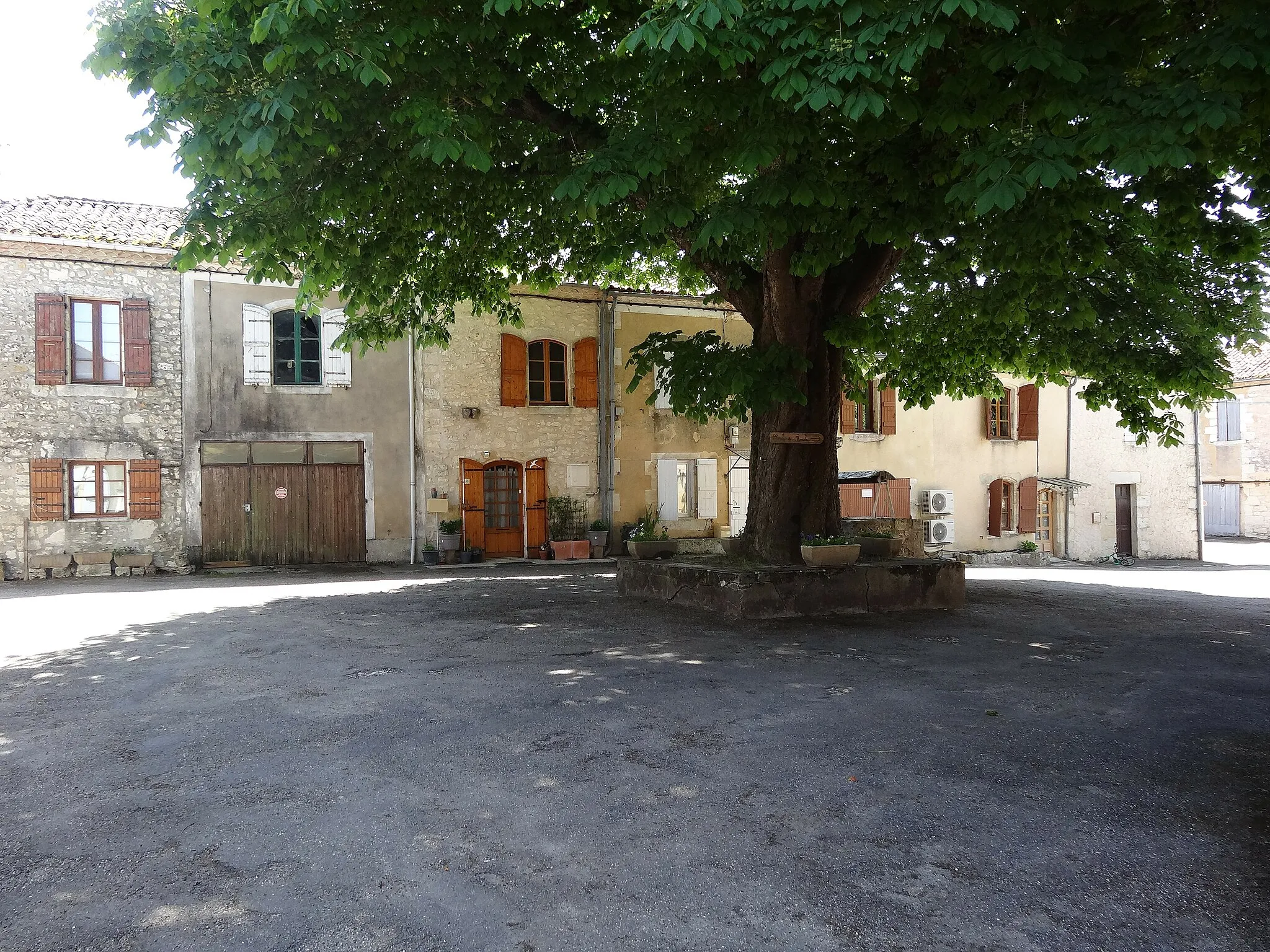 Photo showing: Un arbre au cœur du village de Cézan.