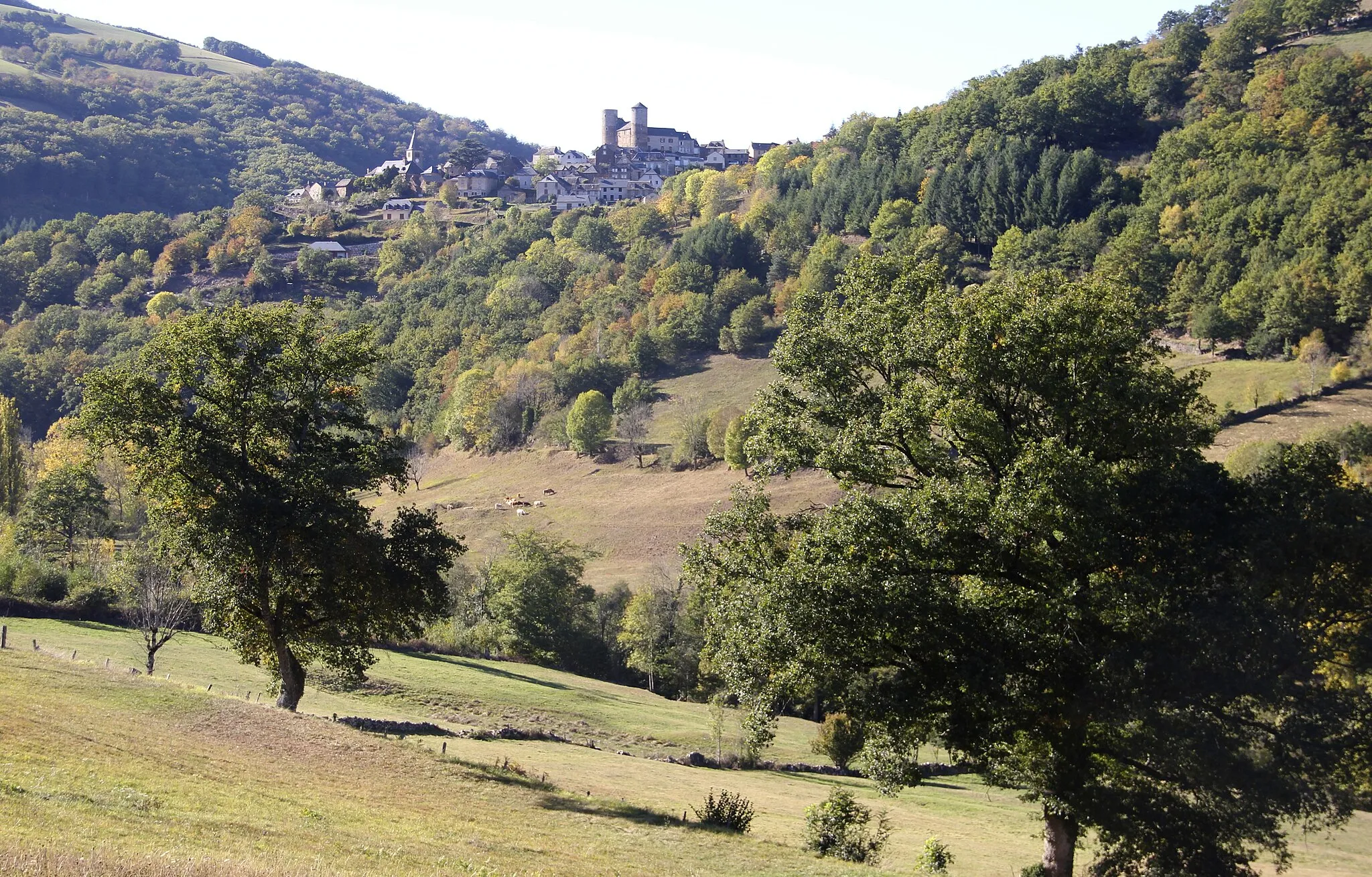 Photo showing: The valley of the Lot river. Pomayrols (Aveyron France)