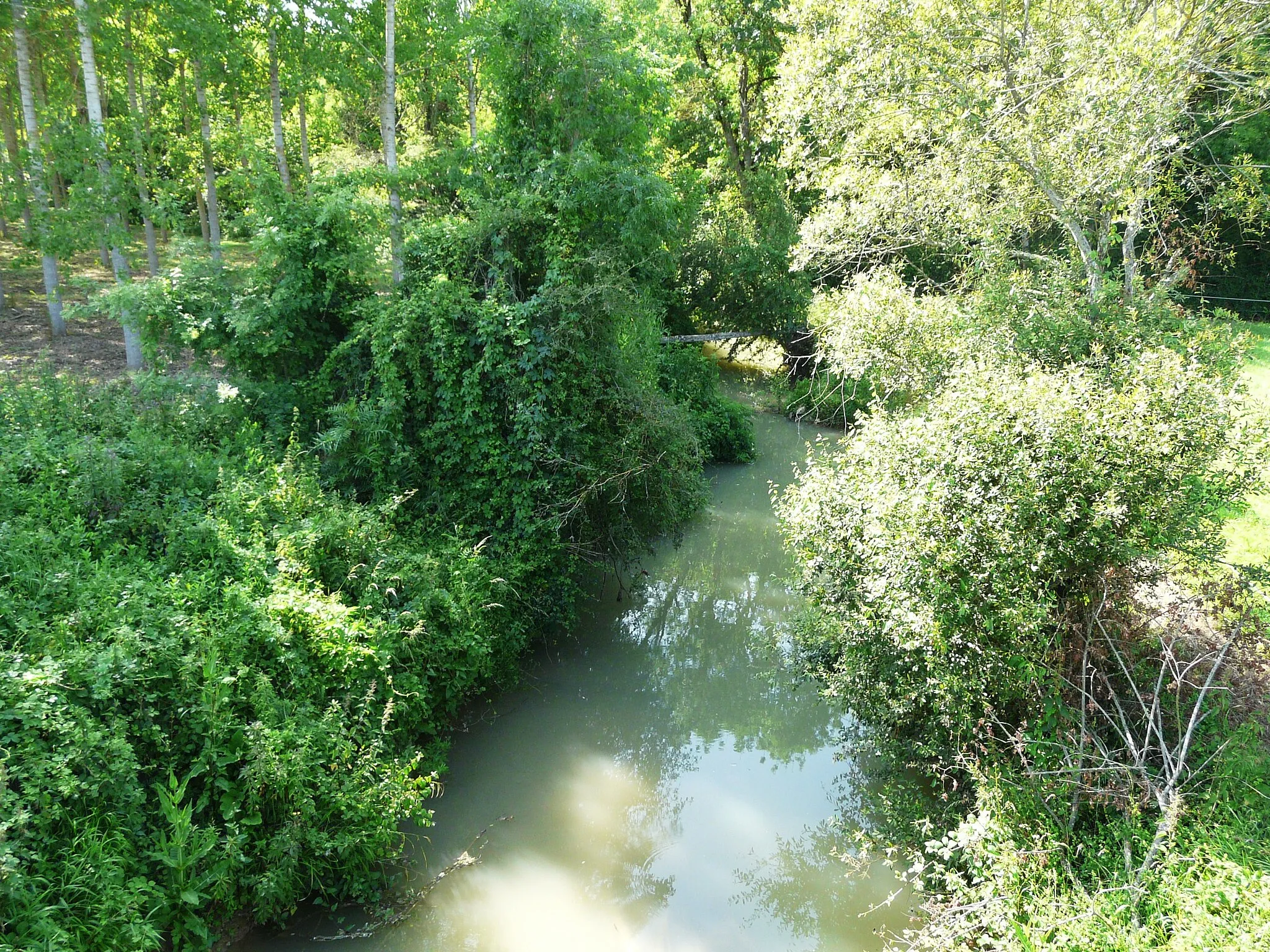 Photo showing: En aval de la route départementale 656, le Petit Auvignon marque la limite entre les communes de Saumont (à gauche) et Montagnac-sur-Auvignon (à droite) ; Lot-et-Garonne, France.