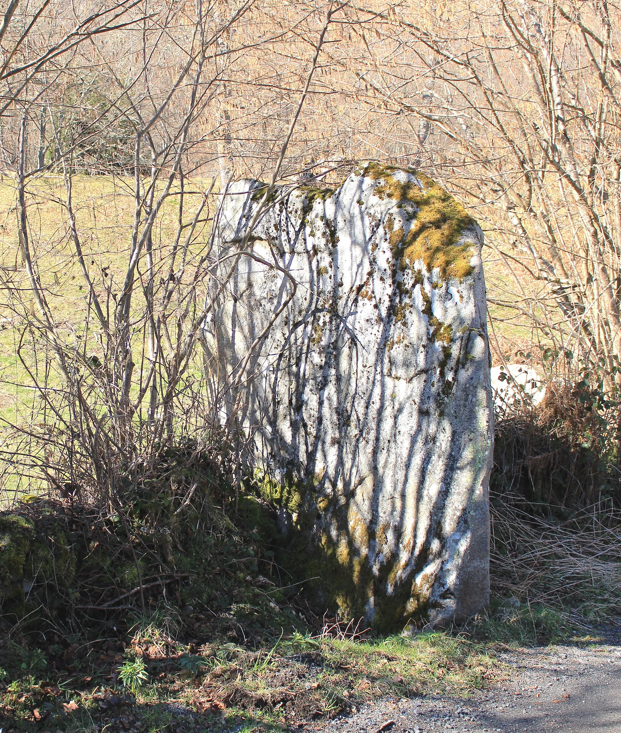 Photo showing: Menhir d' Arras-en-Lavedan (Hautes-Pyrénées)