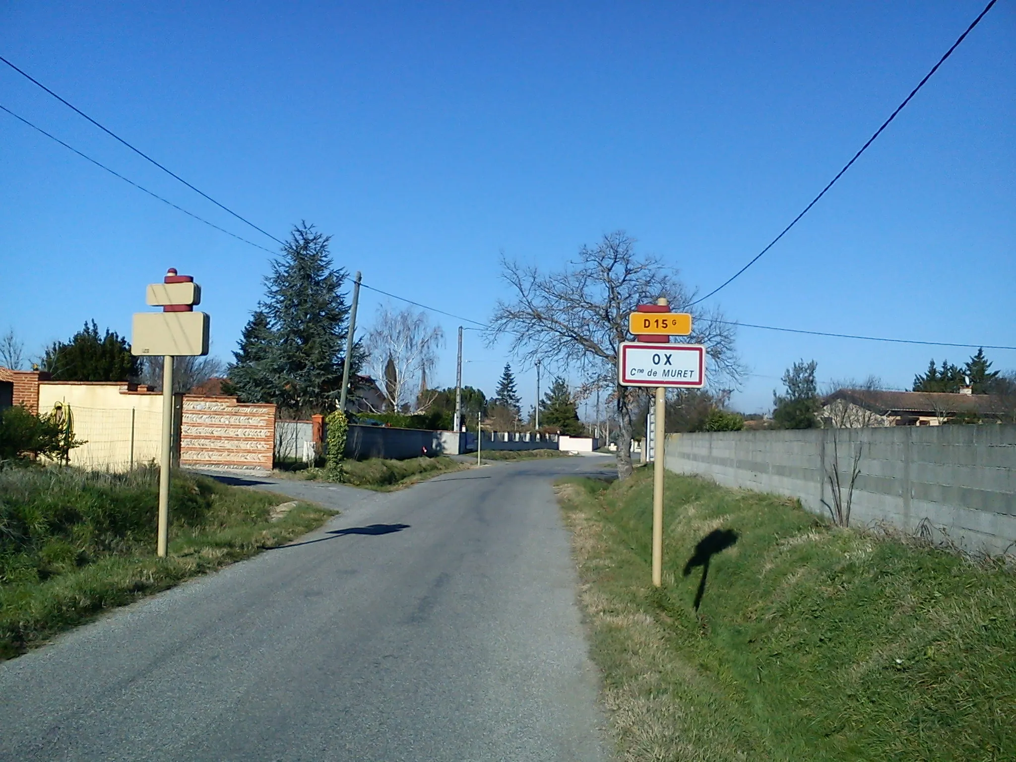 Photo showing: Ox commune de Muret