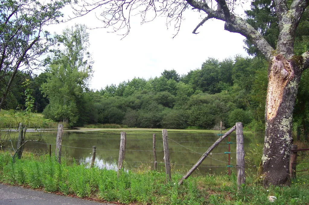 Photo showing: Pond of Lasbios near Espeyroux on the stream Ouysse.