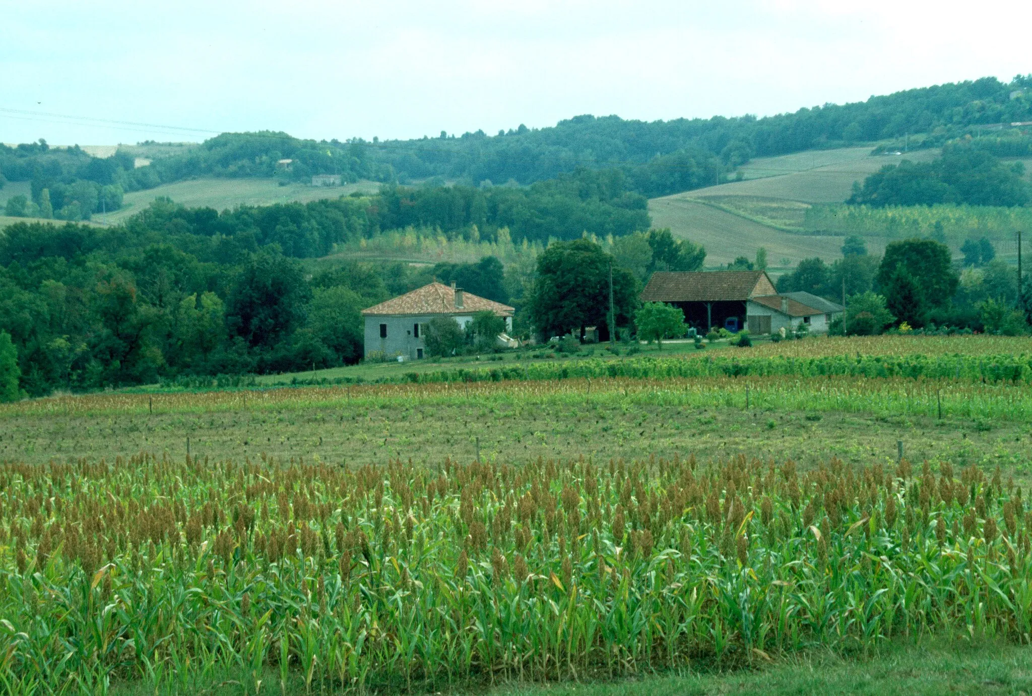 Photo showing: Lascabanes in France