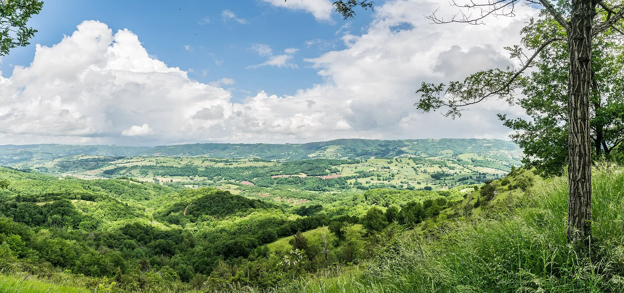 Photo showing: Landscape of the commune of Mouret, Aveyron, France