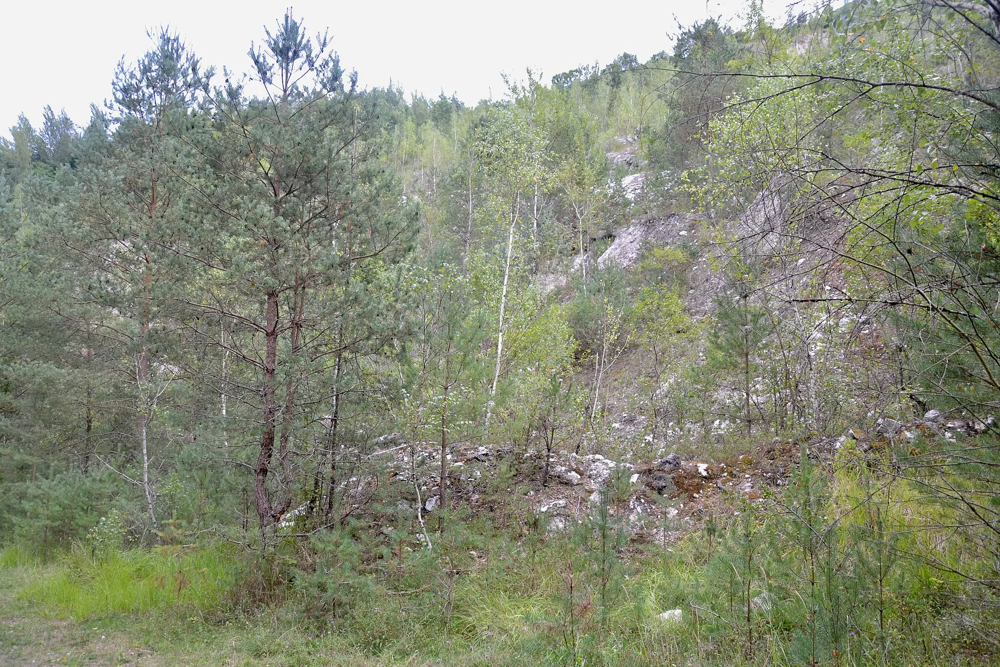 Photo showing: Ancienne carrière de gypse de Surba (Ariège, France).